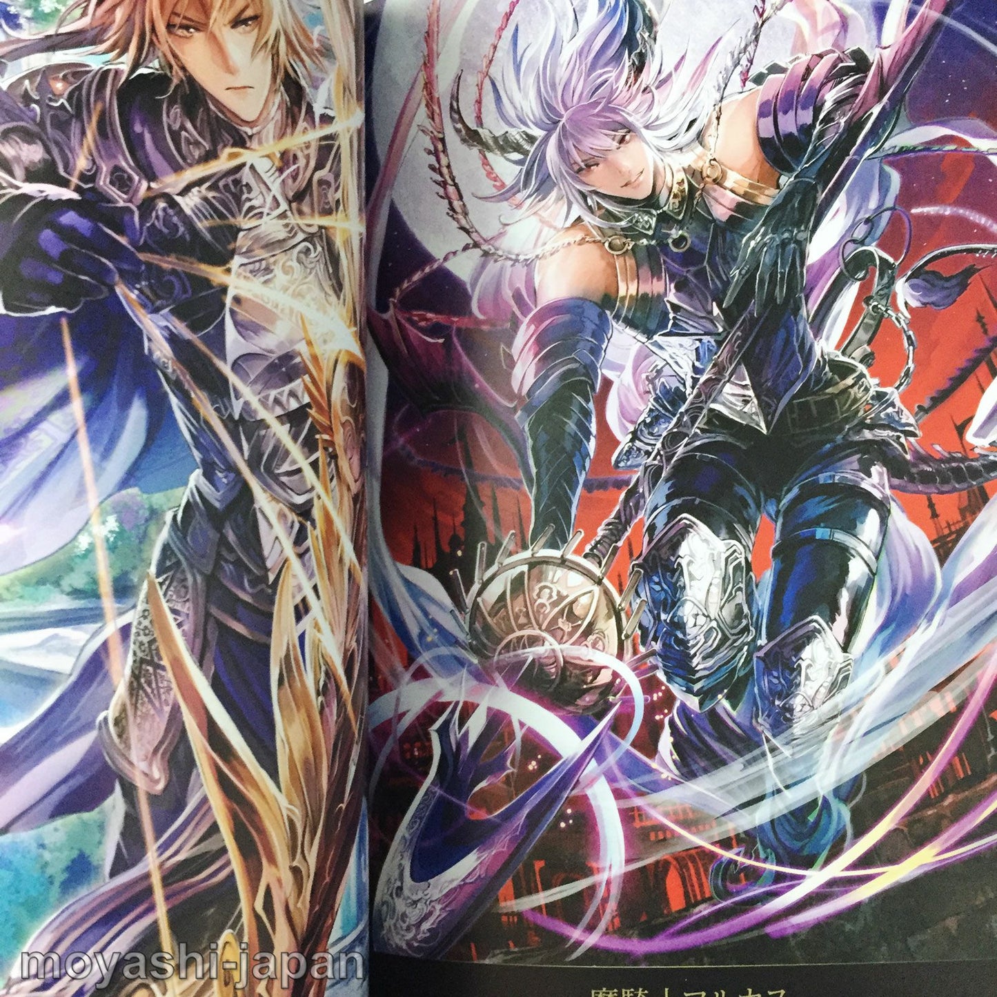 Shingoku no Valhalla Gate Official Art Works
