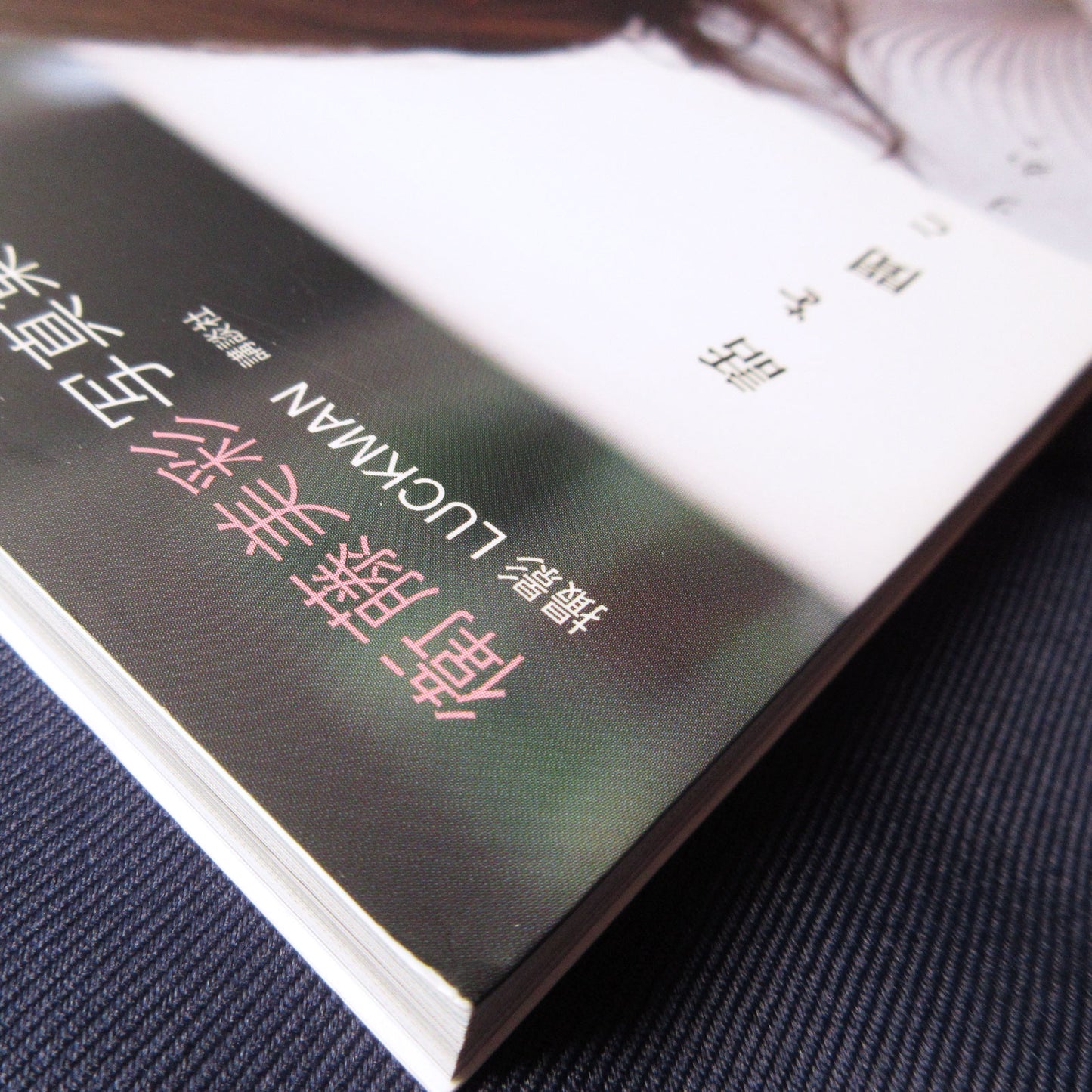 Eto Misa Photo Book 'Hnashi wo kikouka' / Nogizaka46