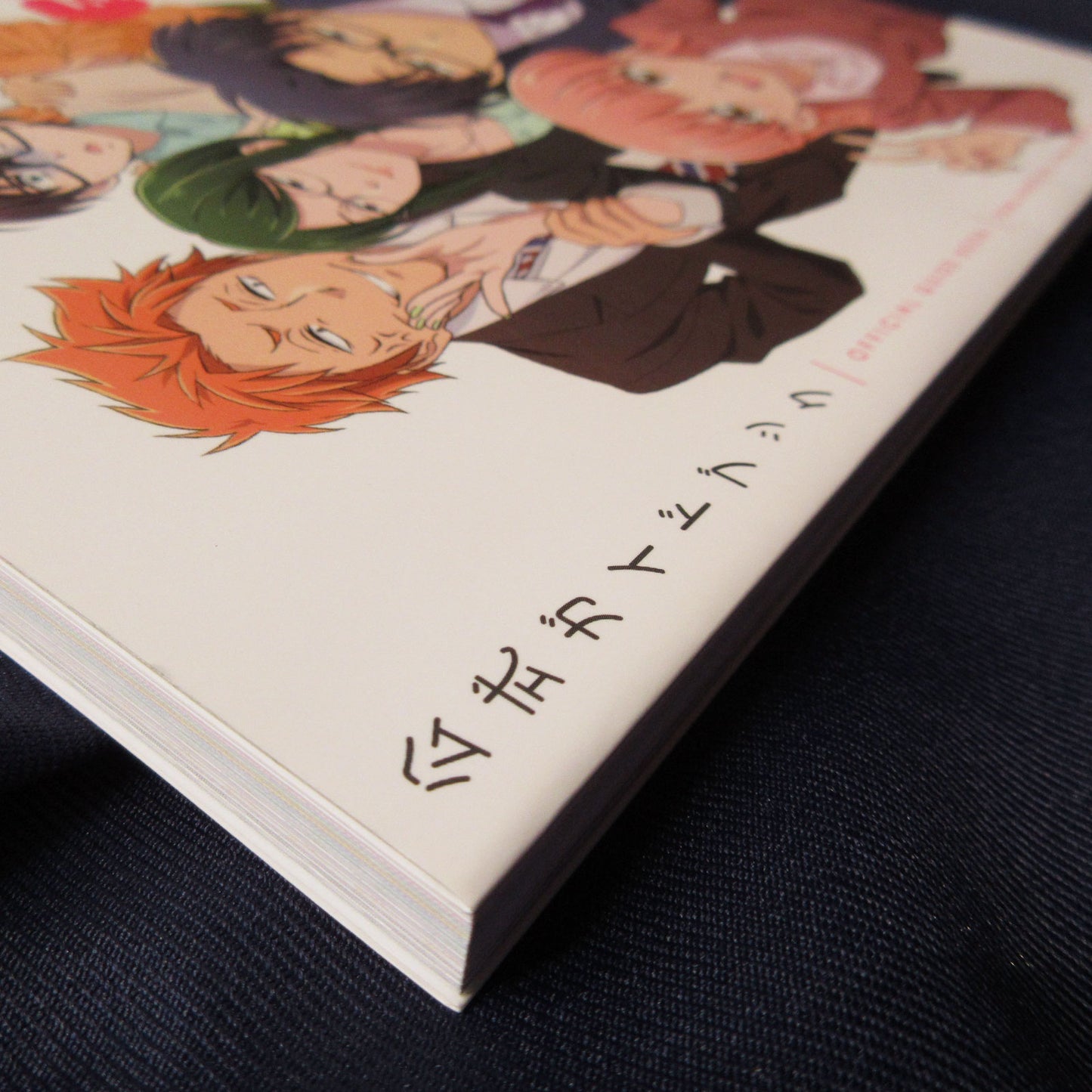 Wotakoi Love Is Hard for Otaku TV Animation Official Guide Book