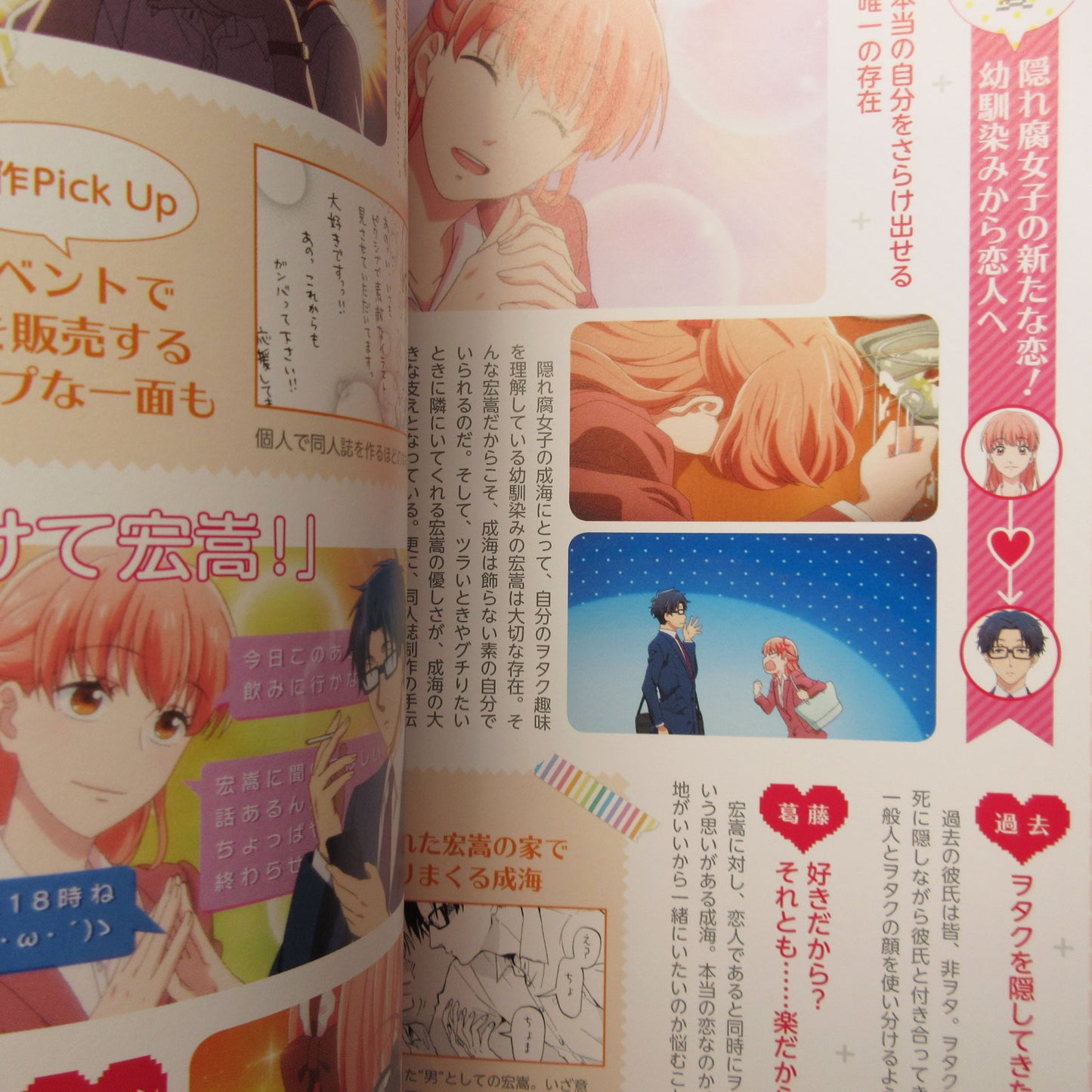 Wotakoi Love Is Hard for Otaku TV Animation Official Guide Book