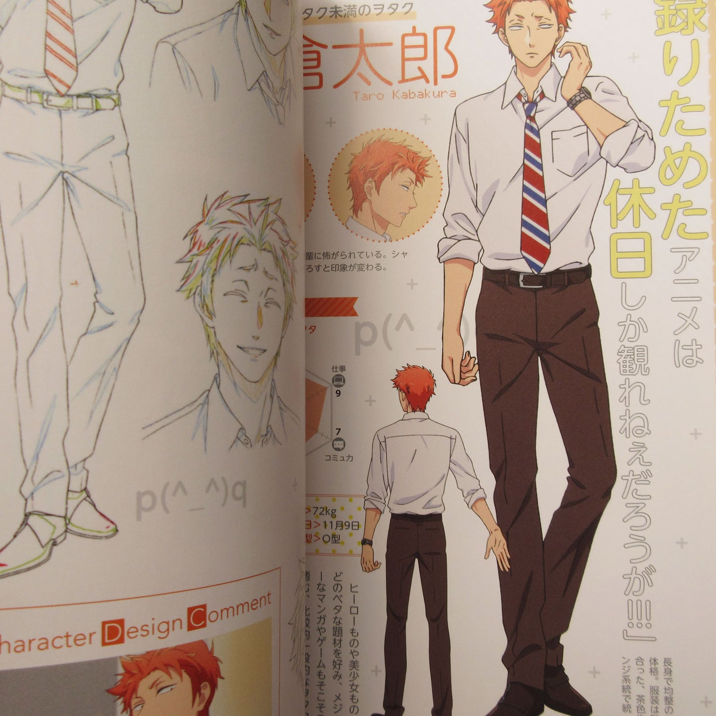 Wotakoi Love Is Hard for Otaku TV Animation Official Guide Book