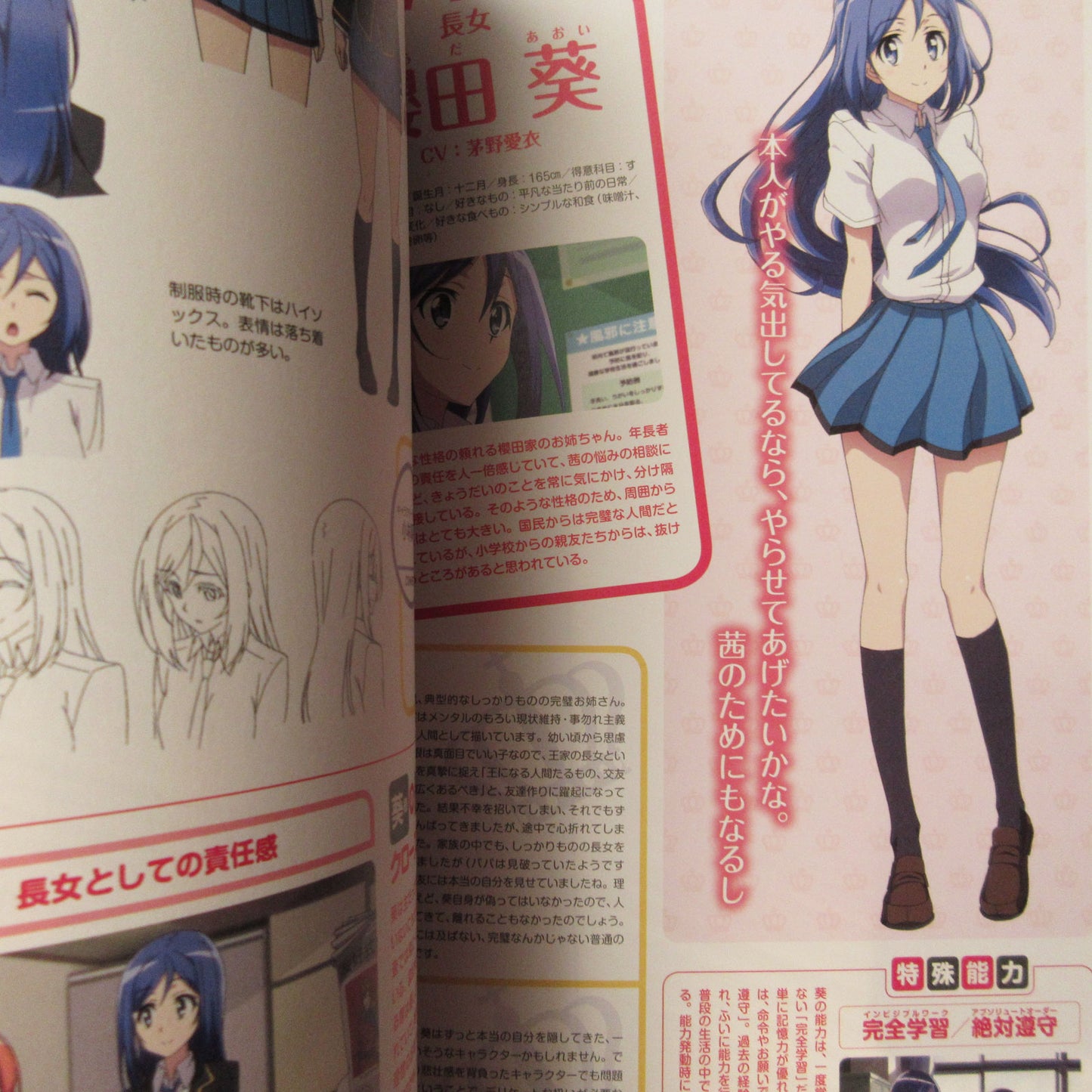 Castle Town Dandelion TV Animation Official Guide Book