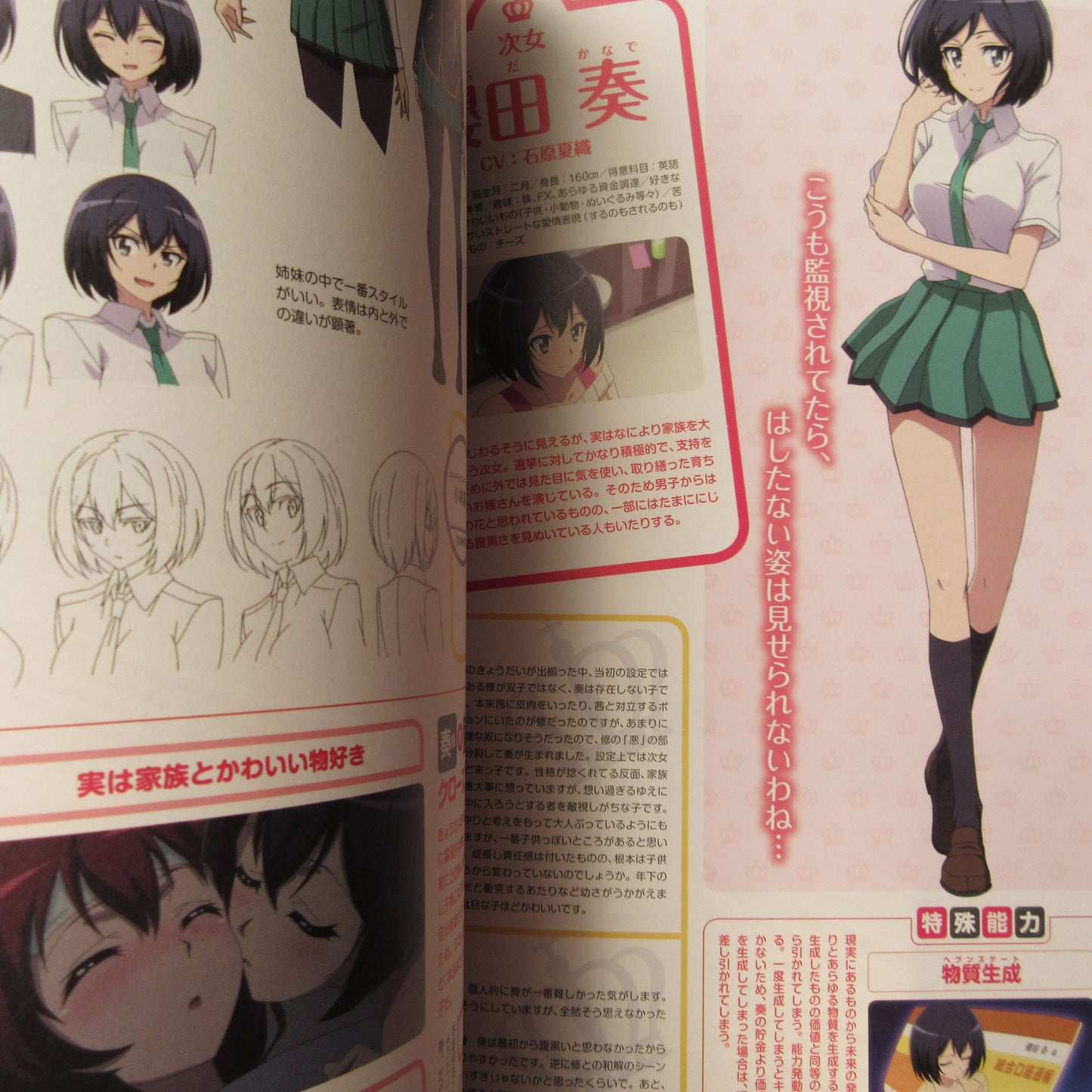 Castle Town Dandelion TV Animation Official Guide Book