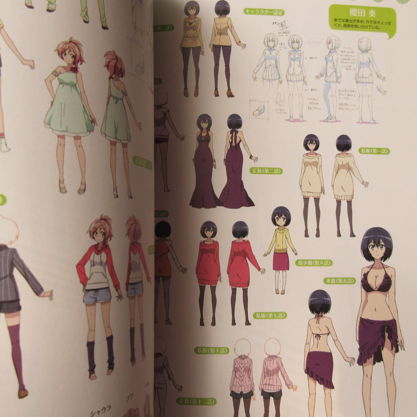 Castle Town Dandelion TV Animation Official Guide Book