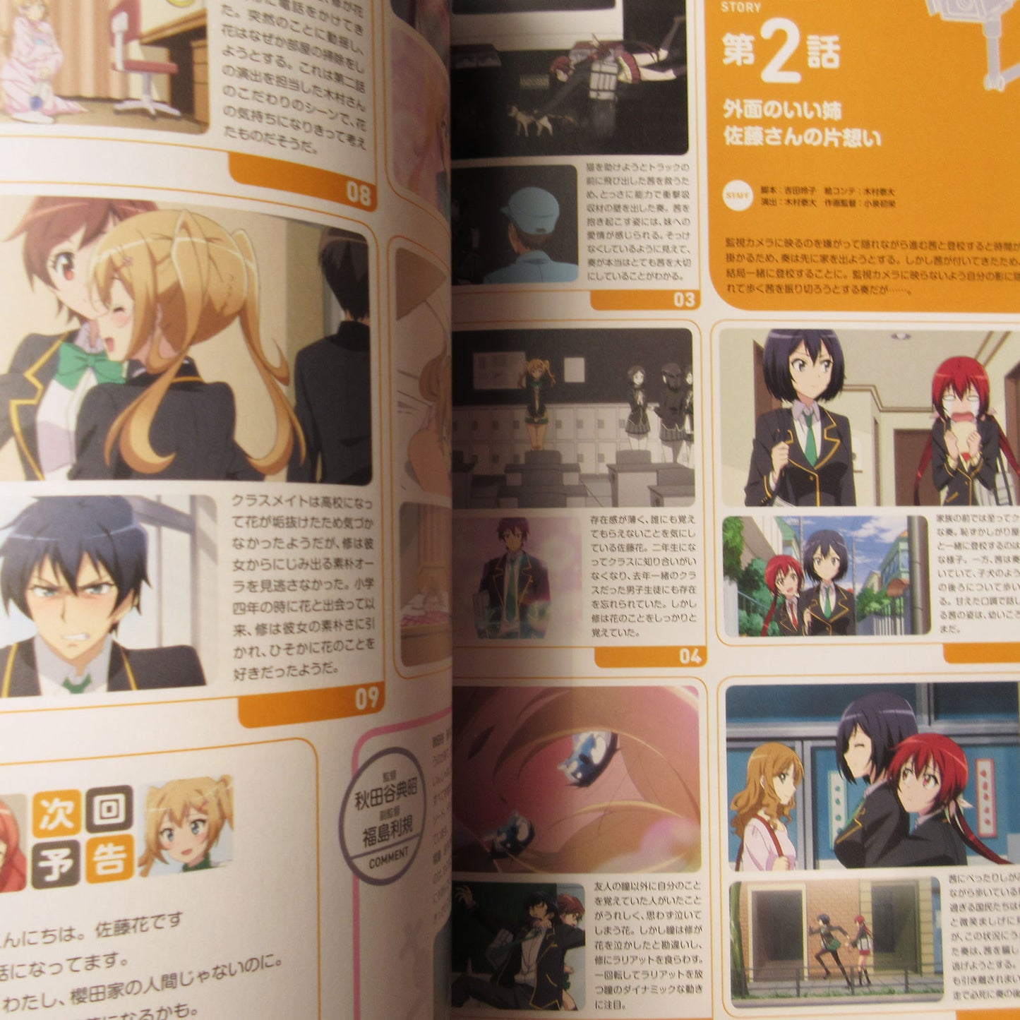 Castle Town Dandelion TV Animation Official Guide Book