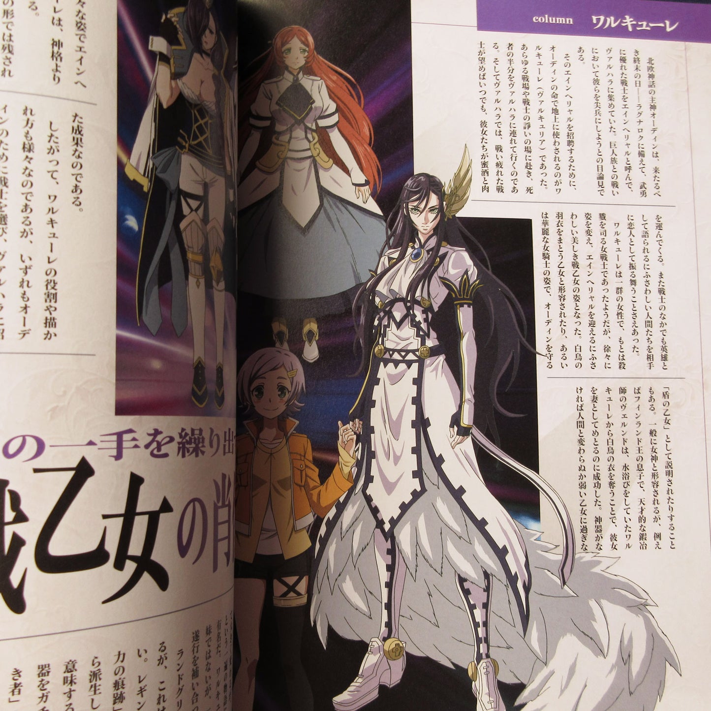 Record of Ragnarok TV Animation Official Guide Book