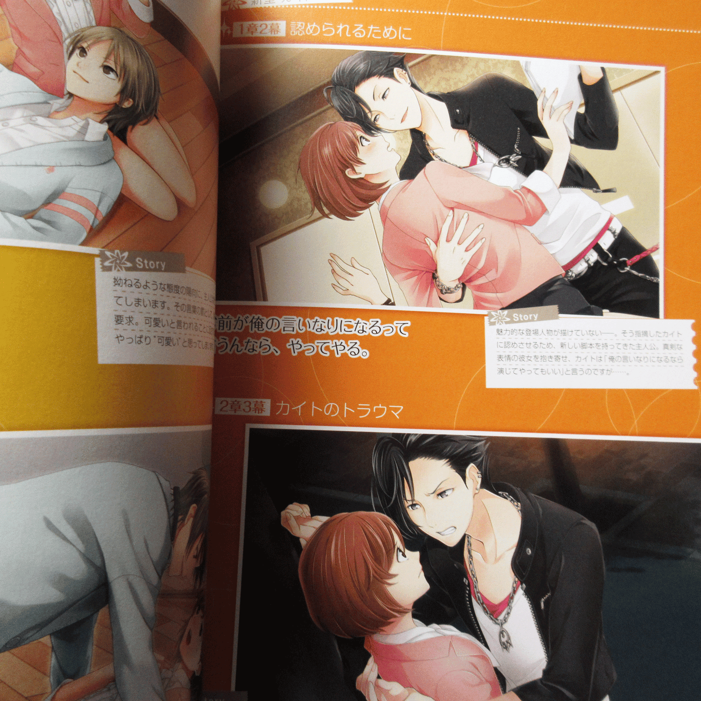 Yumeiro Cast Official Fan Book