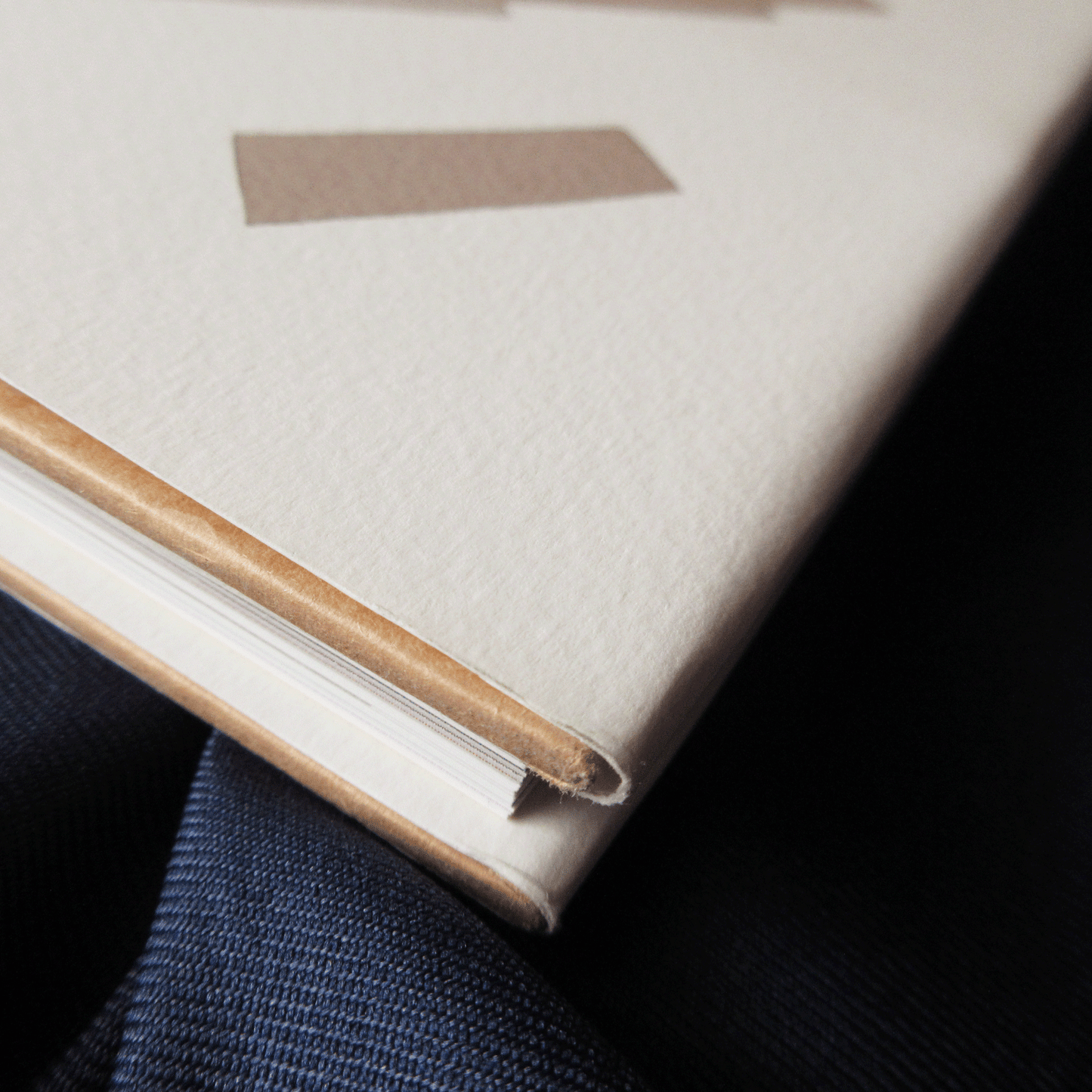 Katsumi Enami Art Book Baccano!