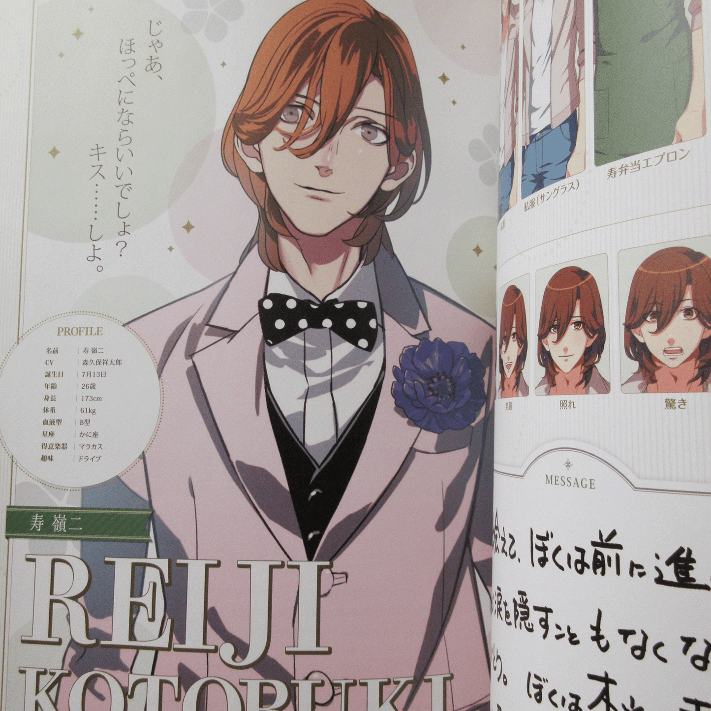 Uta no Prince Sama All Star After Secret Official Fan Book
