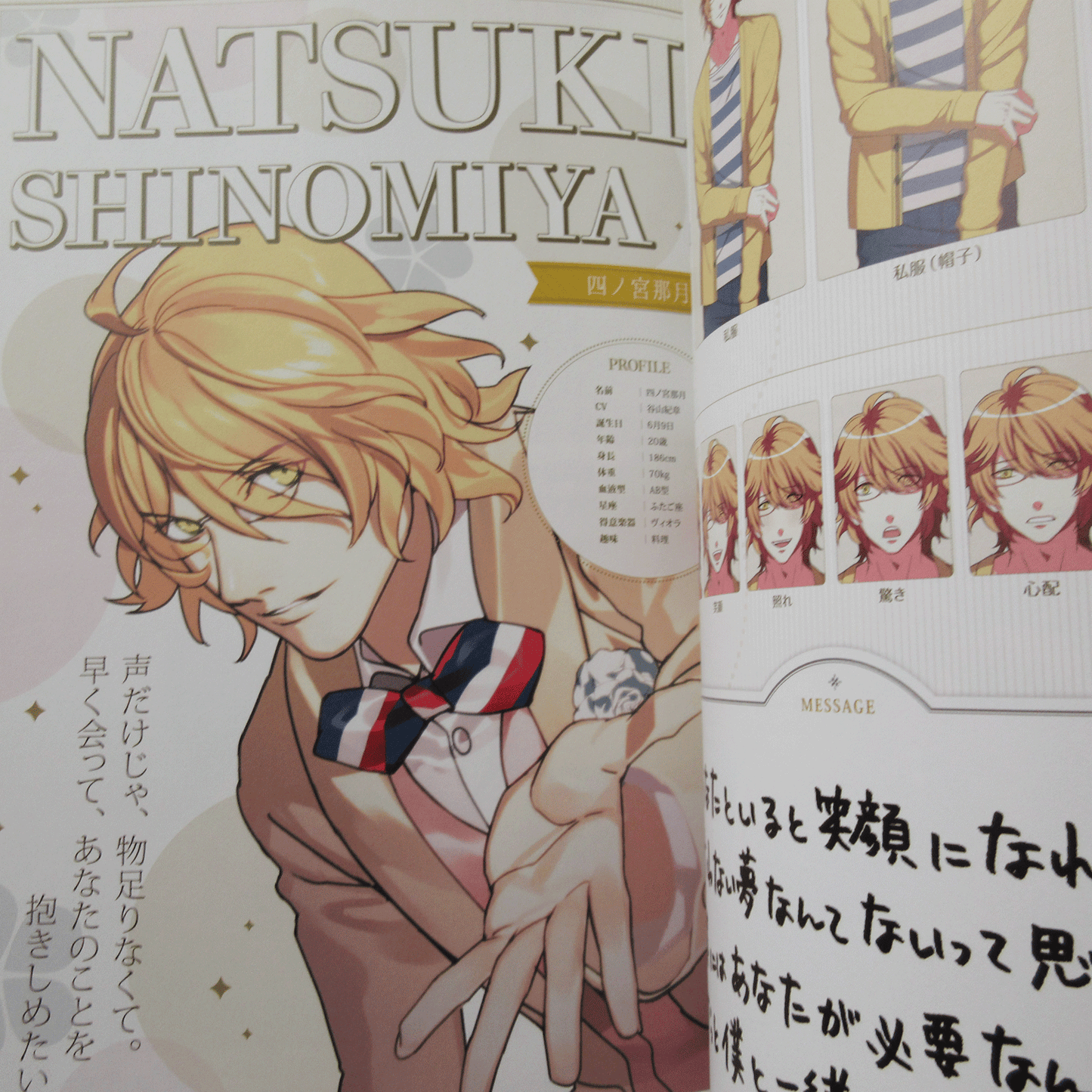 Uta no Prince Sama All Star After Secret Official Fan Book