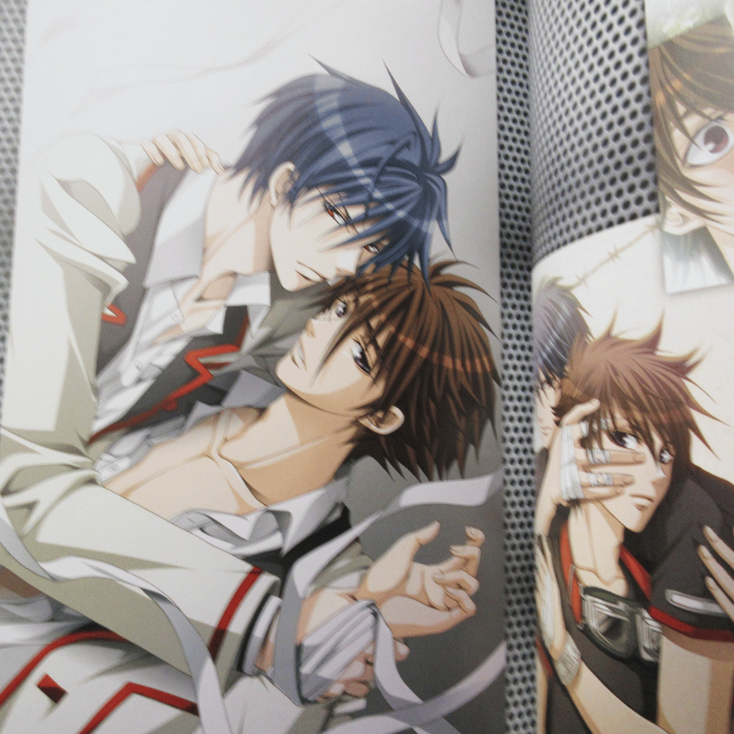 Steal! Official Visual Fan Book