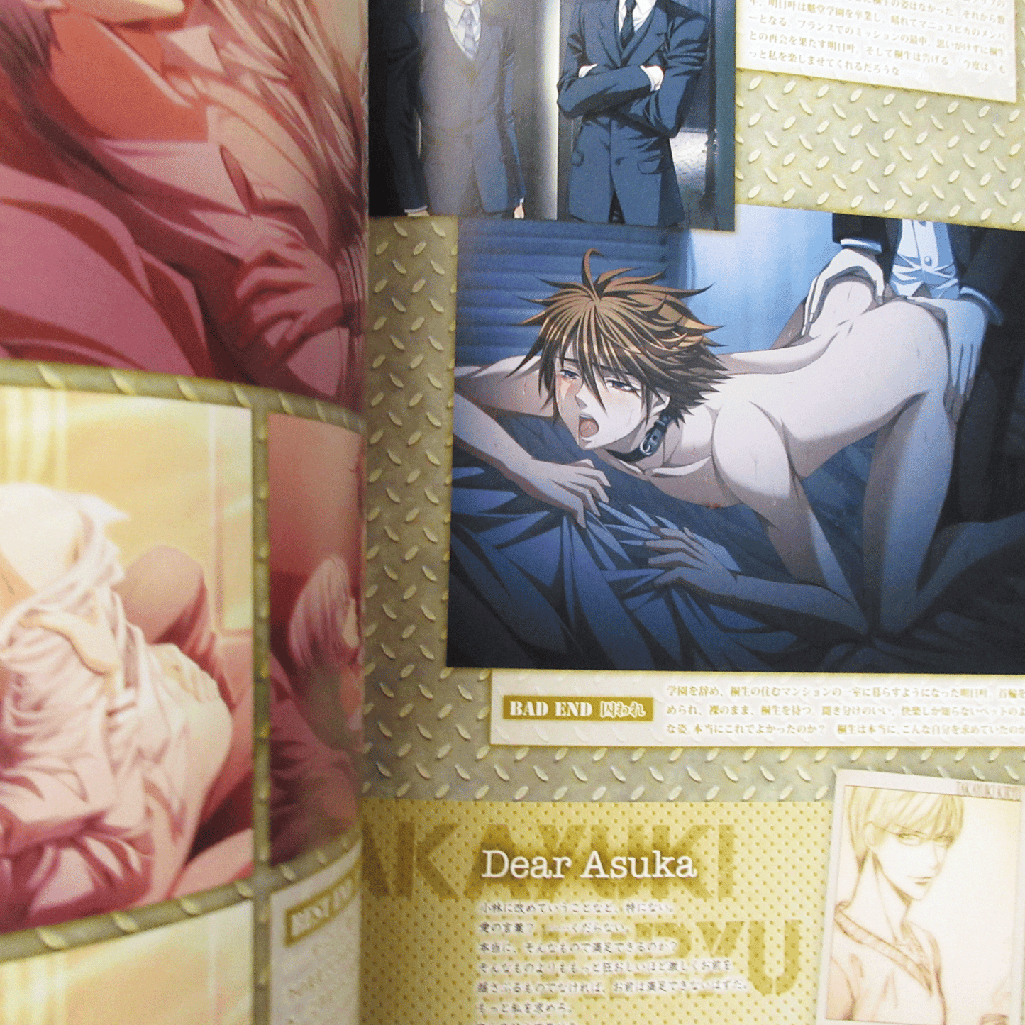 Steal! Official Visual Fan Book