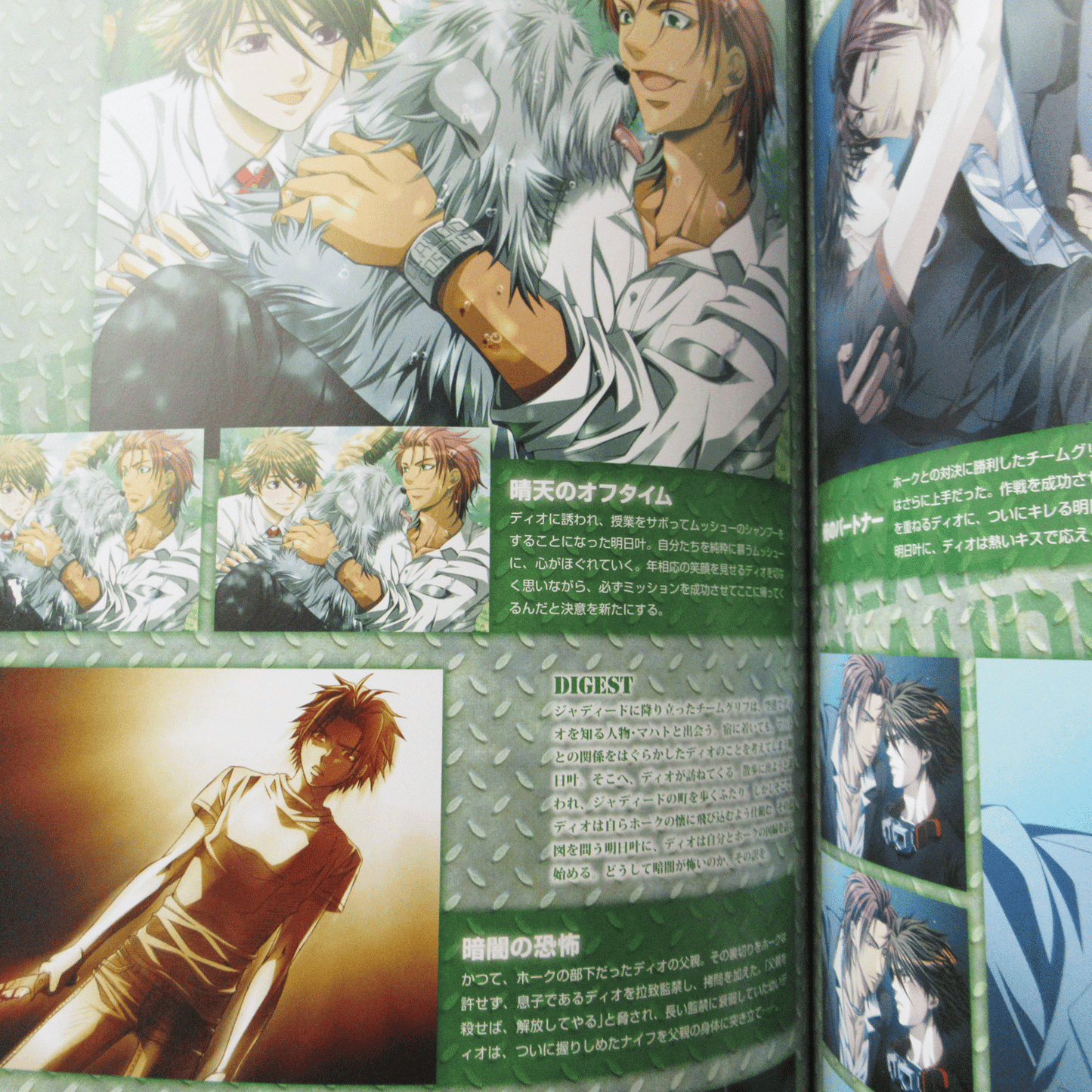 Steal! Official Visual Fan Book