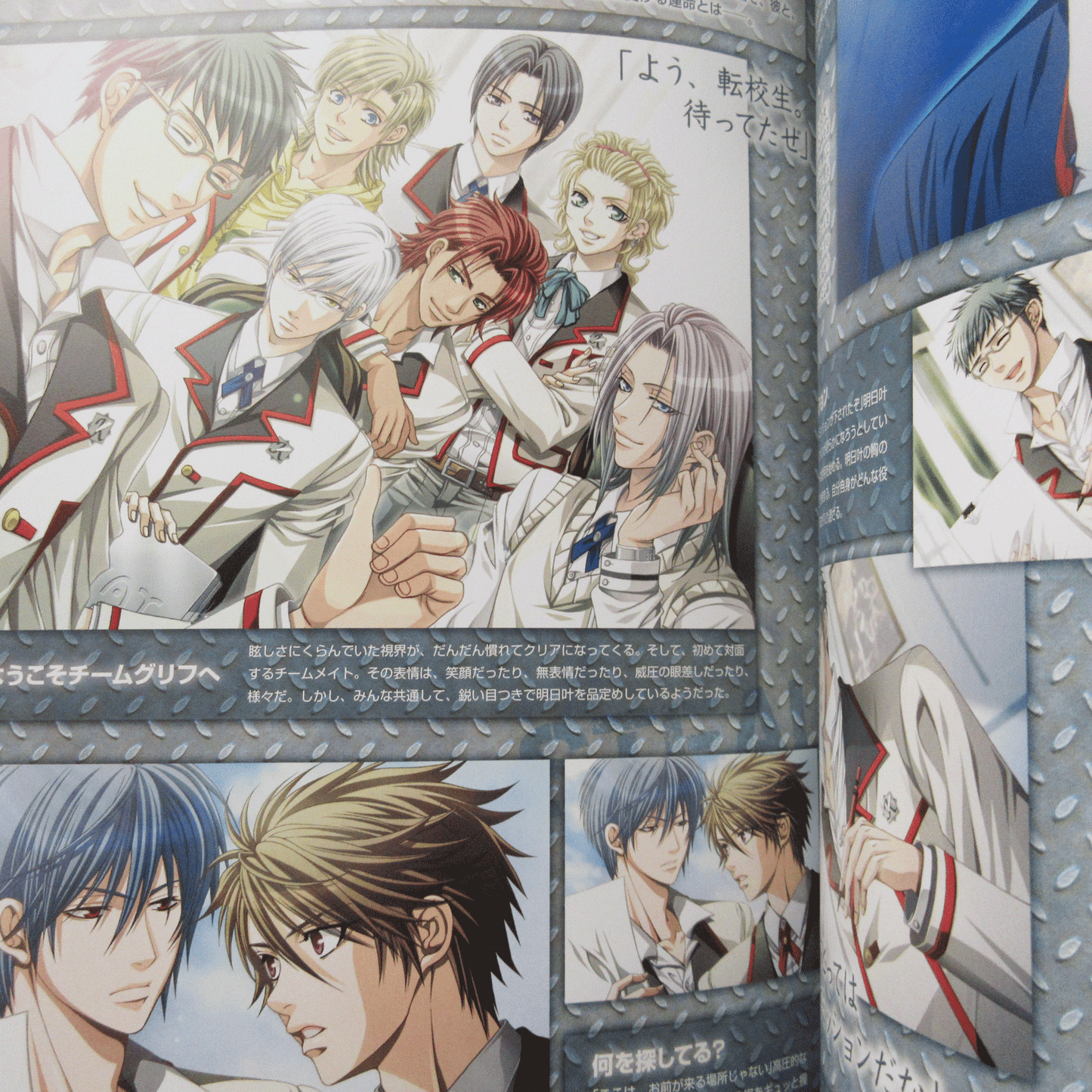 Steal! Official Visual Fan Book