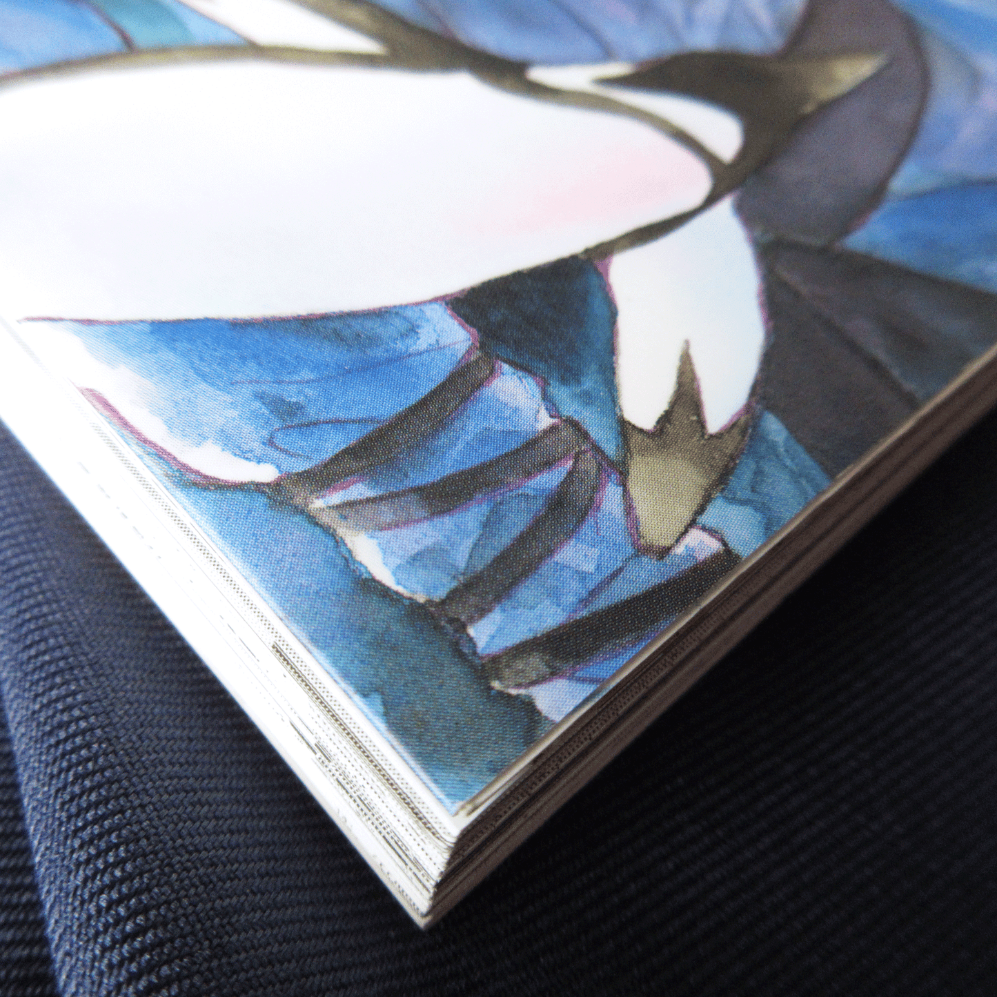 Yona of the dawn Official Fan Book