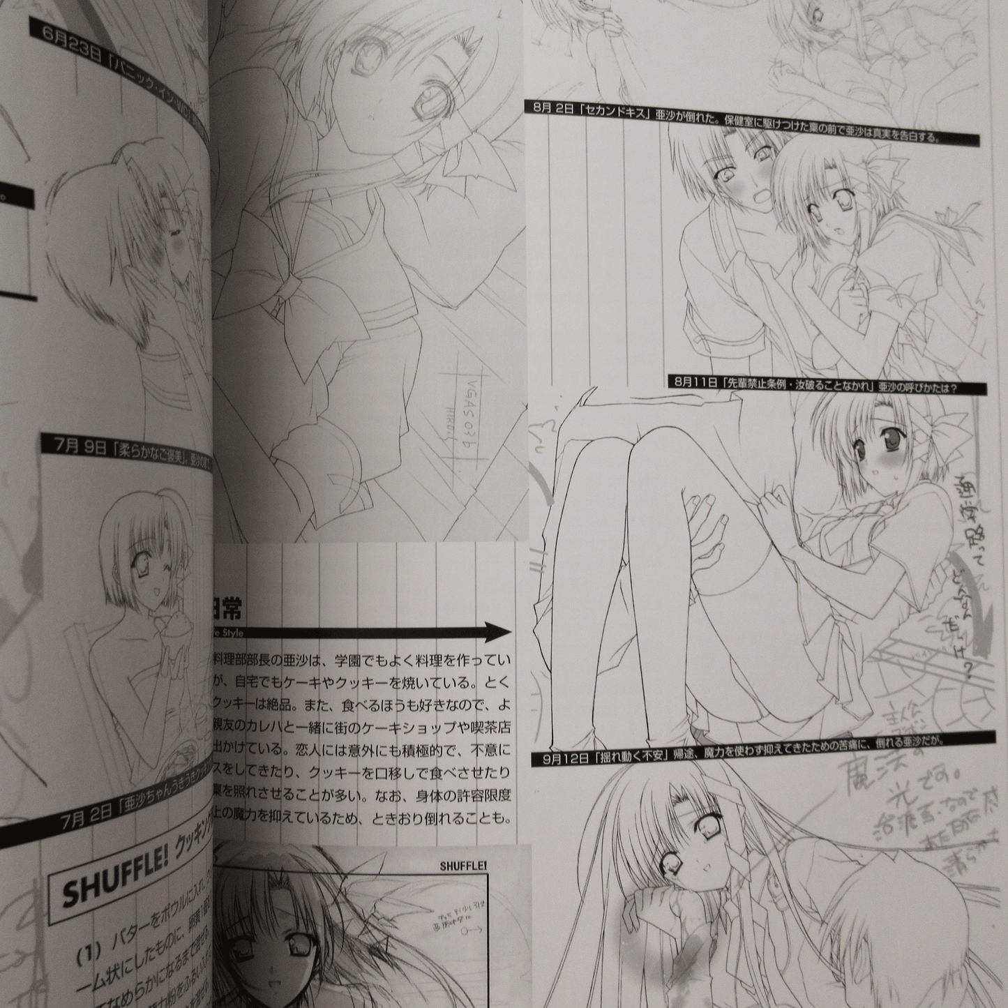 SHUFFLE! Official Original Art/Setting Materials Collection