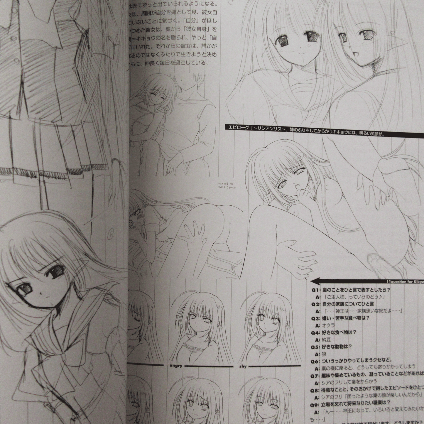 SHUFFLE! Official Original Art/Setting Materials Collection