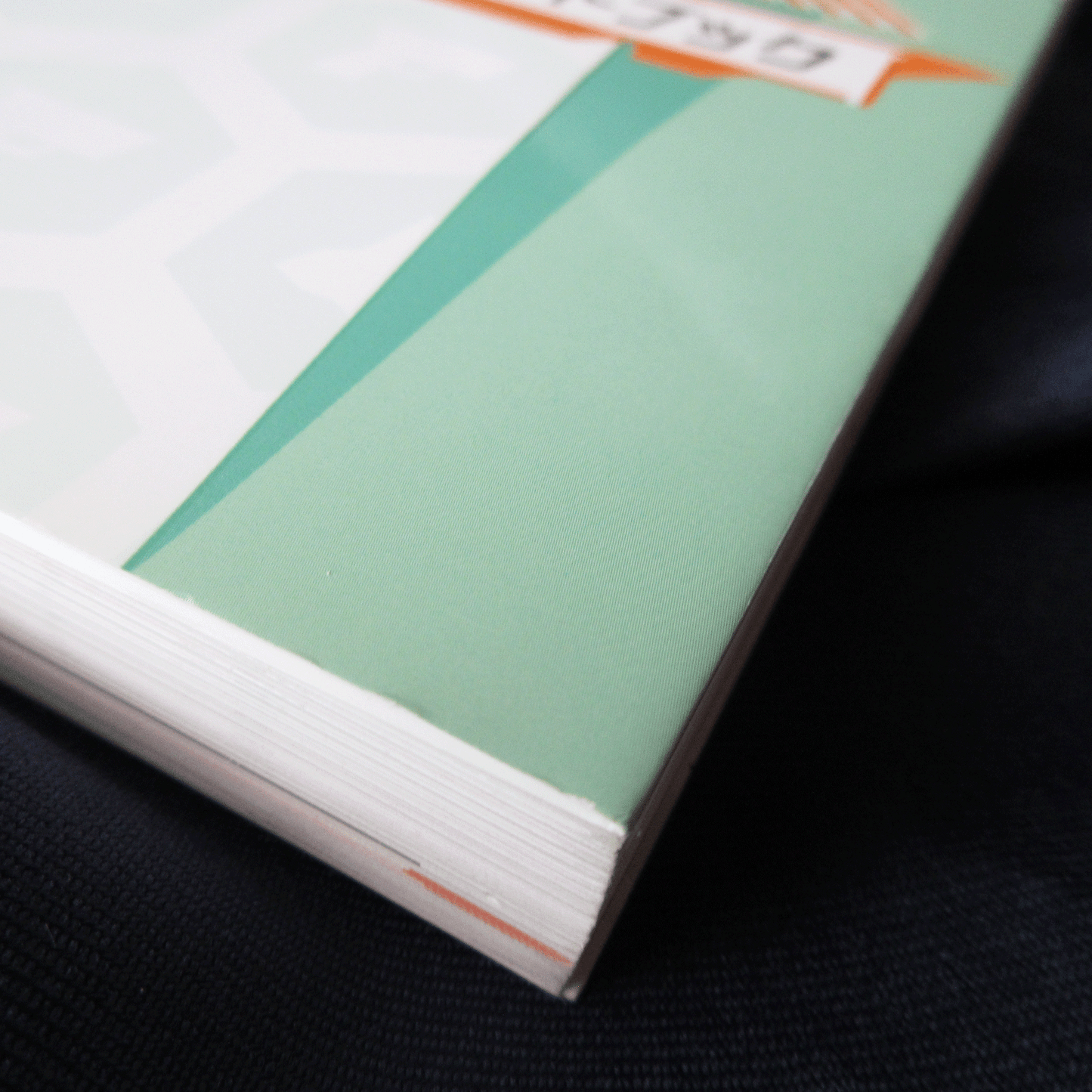 #Compass Official Art Book