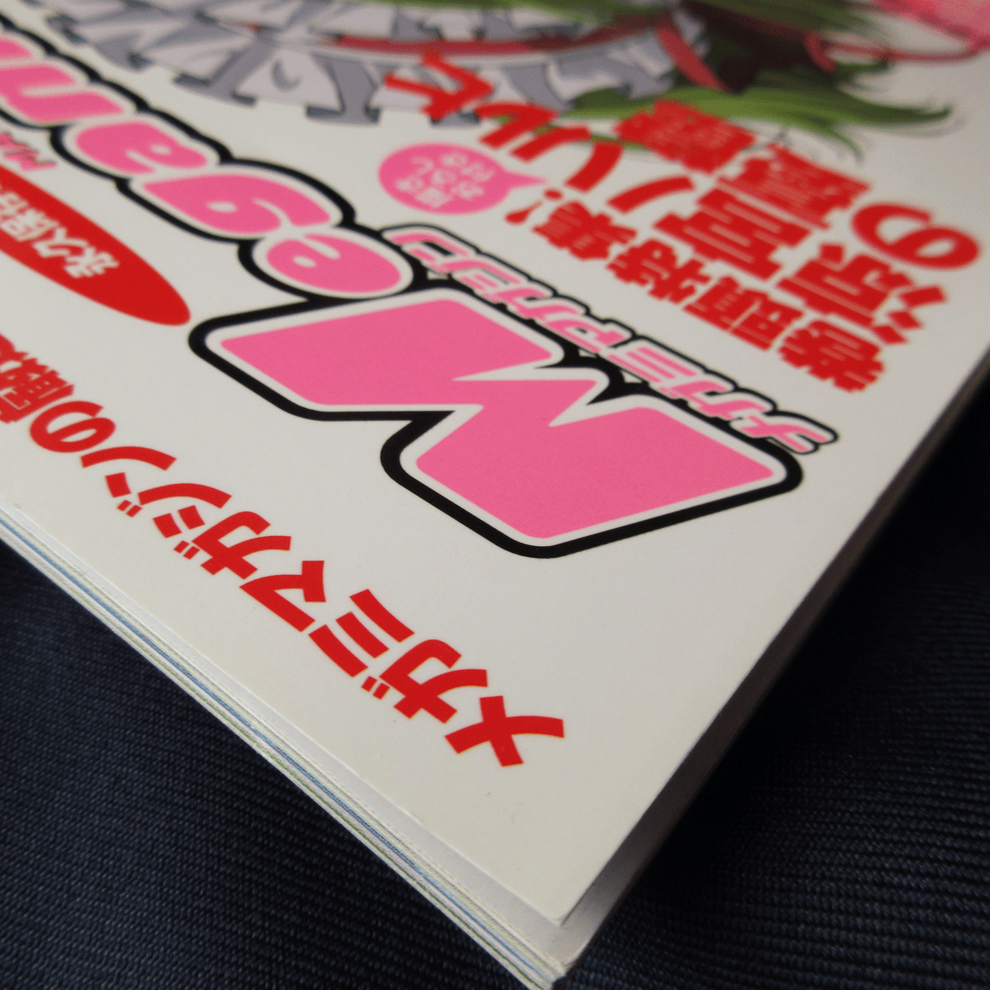 Megami Magazine DELUXE Vol.8