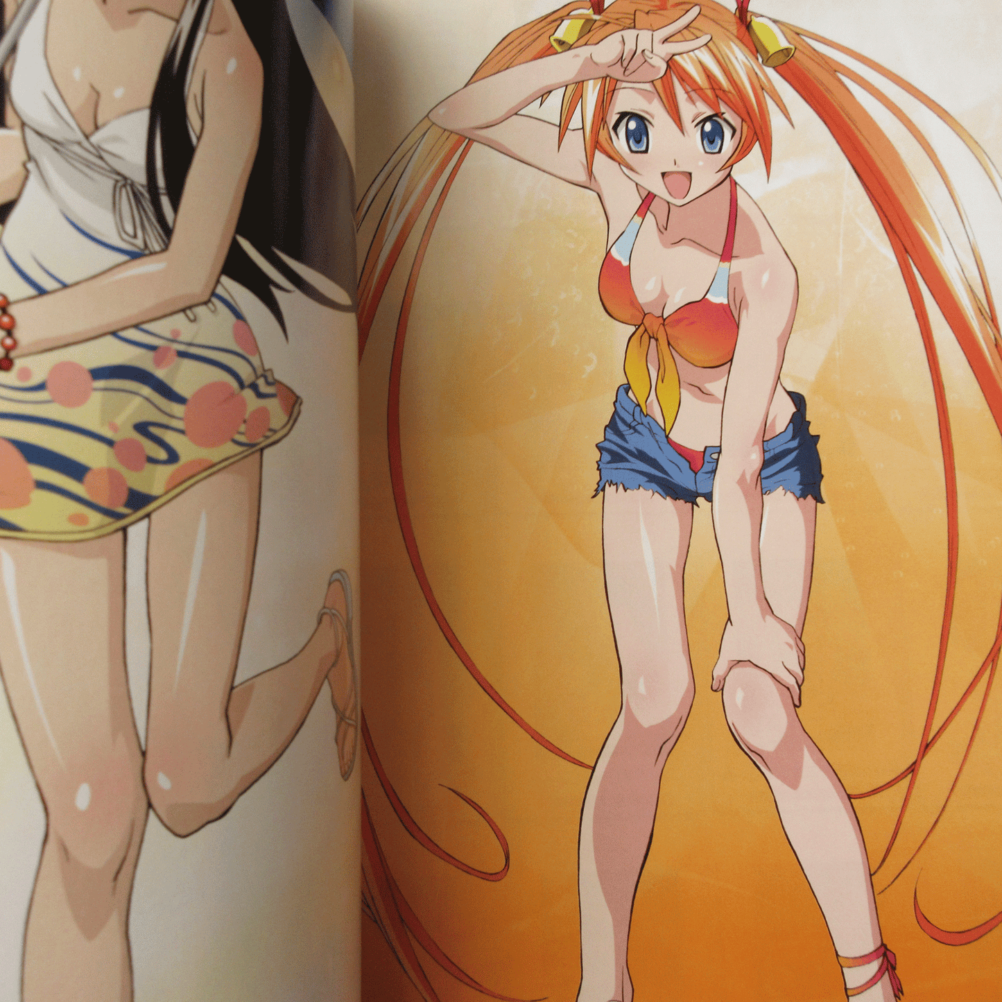 Megami Magazine DELUXE Vol.8