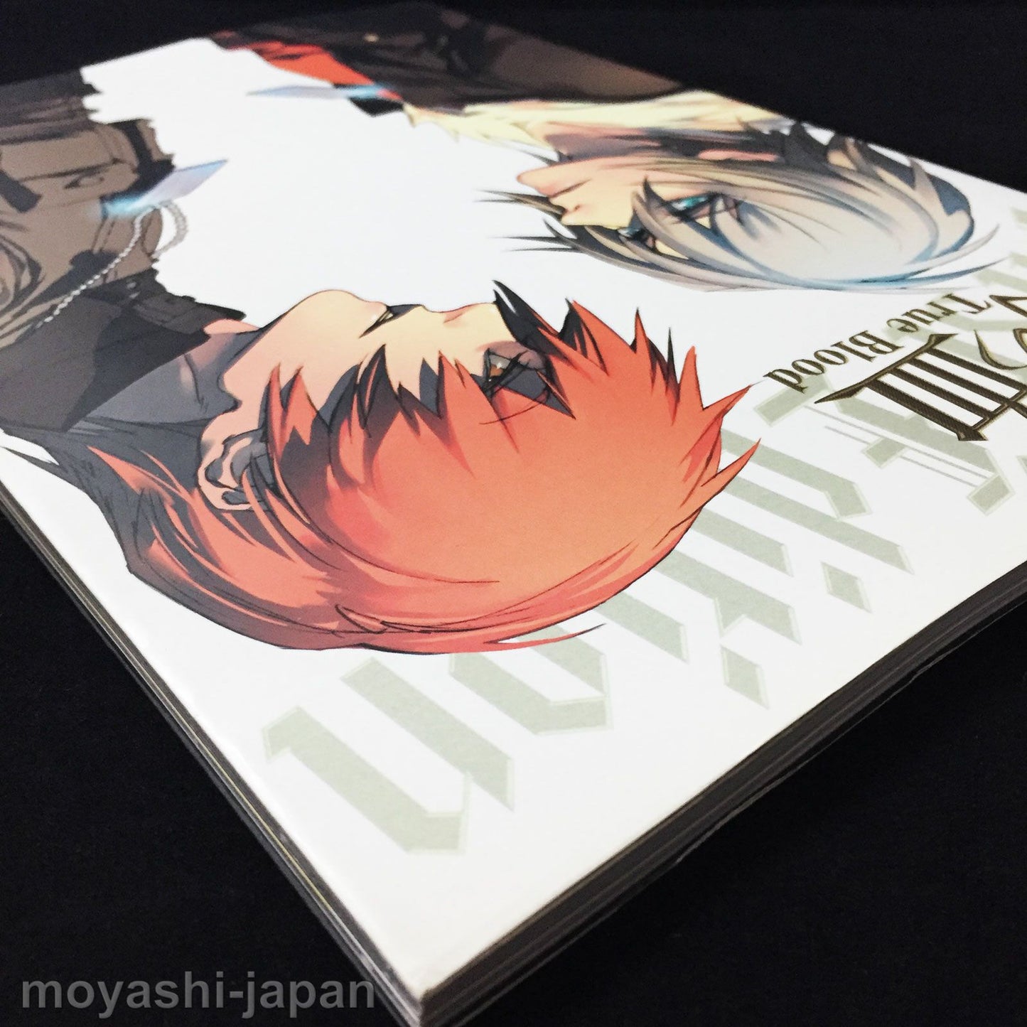 Togainu no Chi True Blood Official Fan Book First Edition