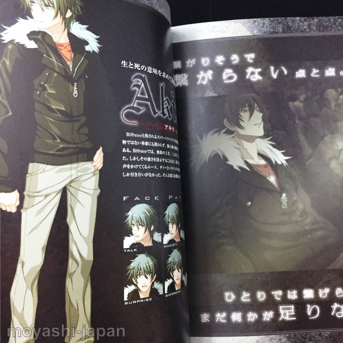 Togainu no Chi True Blood Official Fan Book First Edition