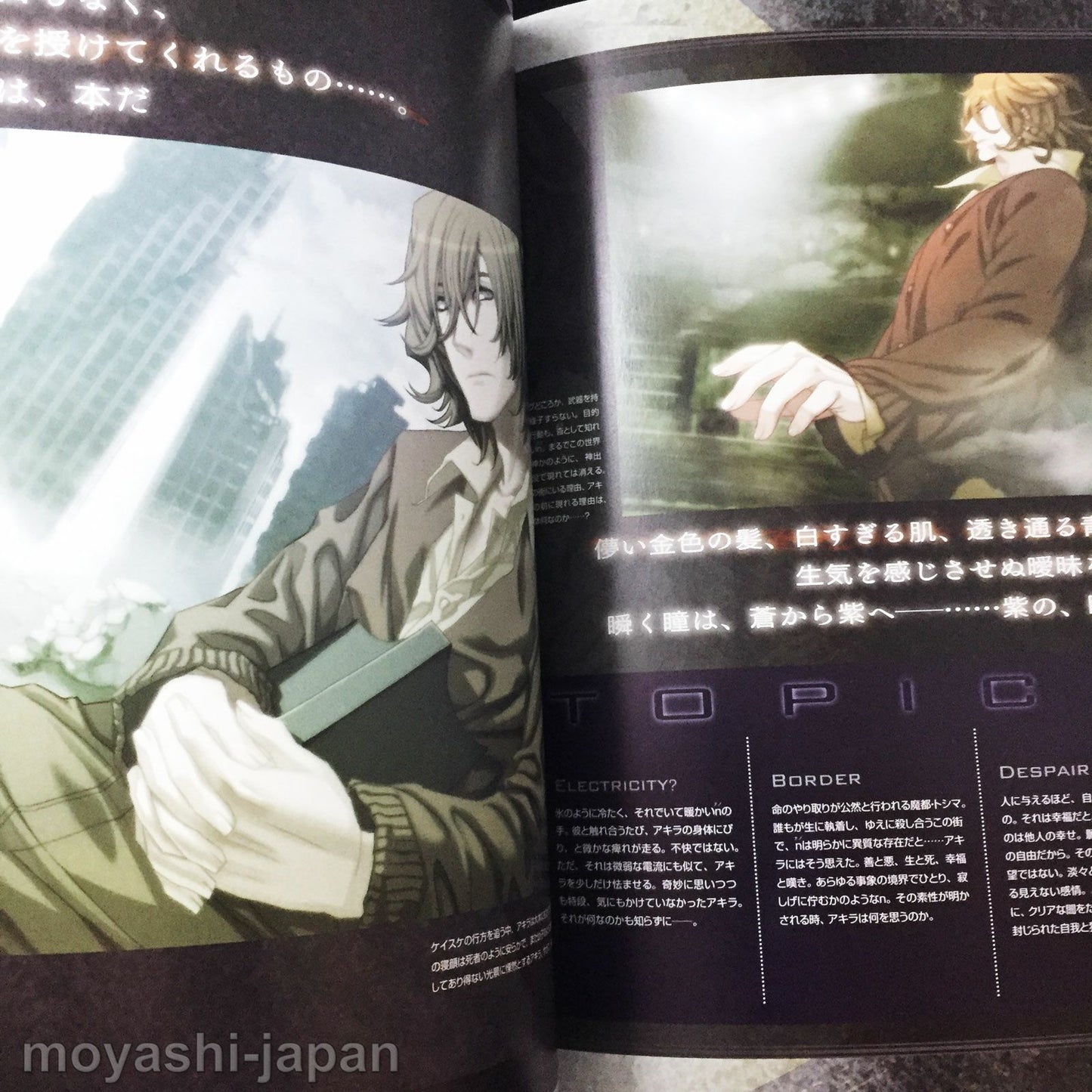 Togainu no Chi True Blood Official Fan Book First Edition