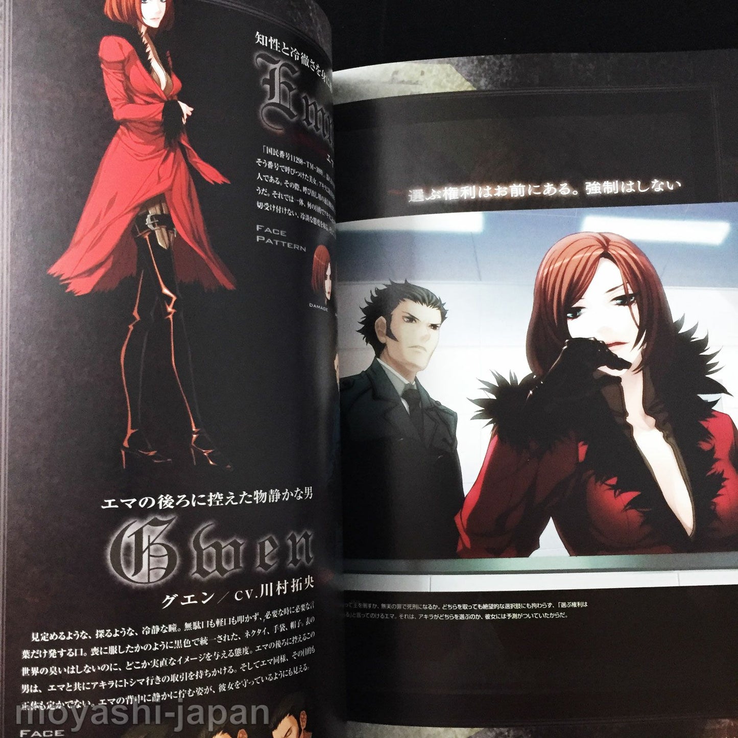 Togainu no Chi True Blood Official Fan Book First Edition