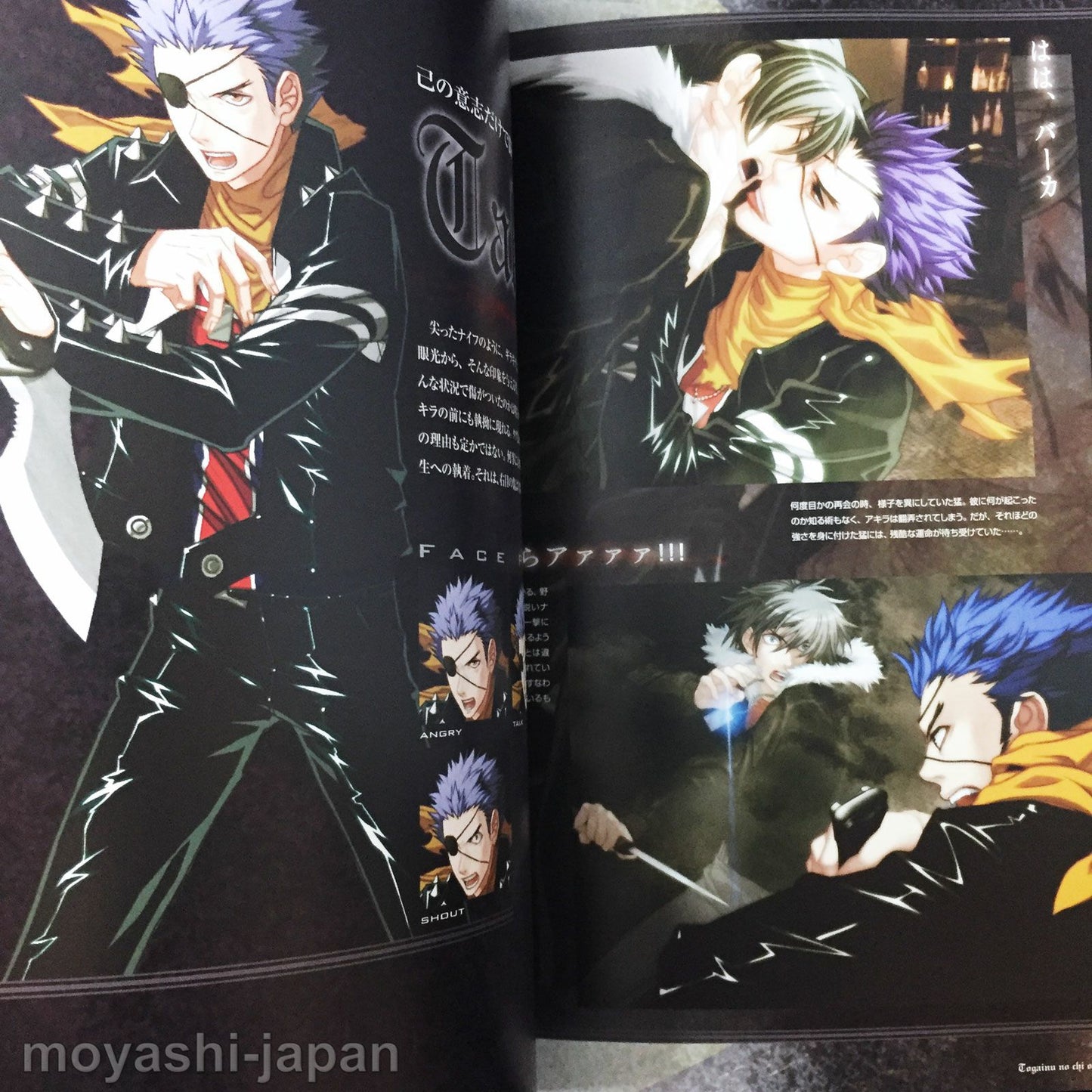 Togainu no Chi True Blood Official Fan Book First Edition