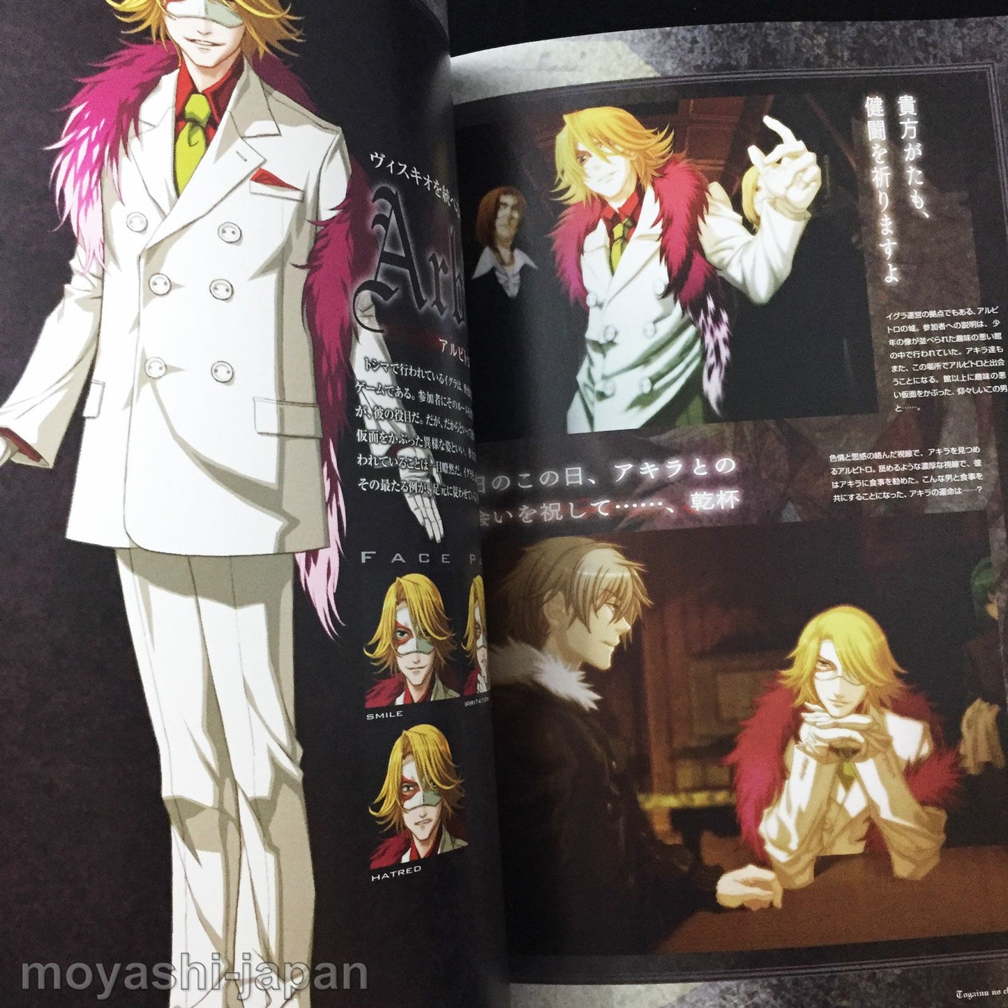 Togainu no Chi True Blood Official Fan Book First Edition