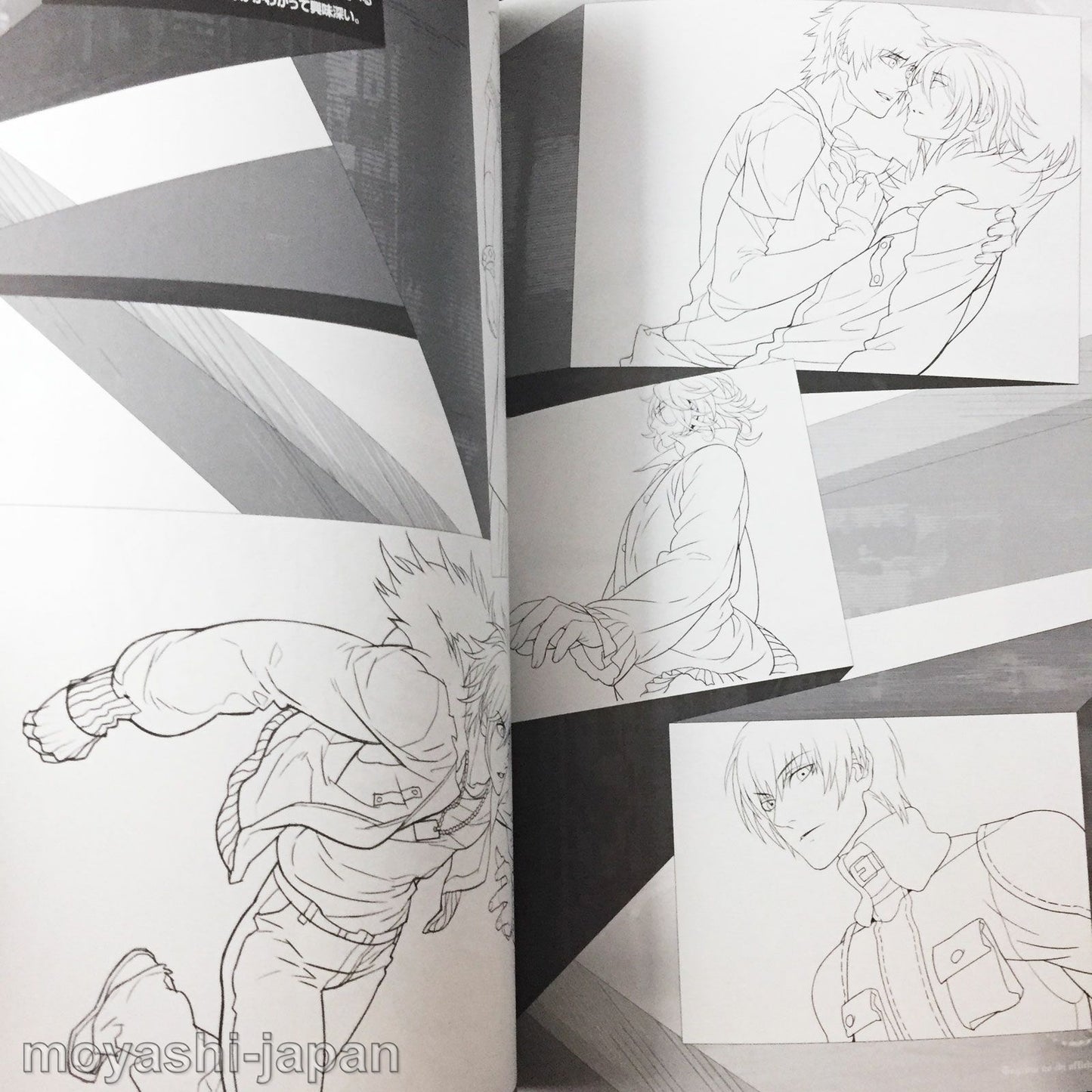 Togainu no Chi True Blood Official Fan Book First Edition
