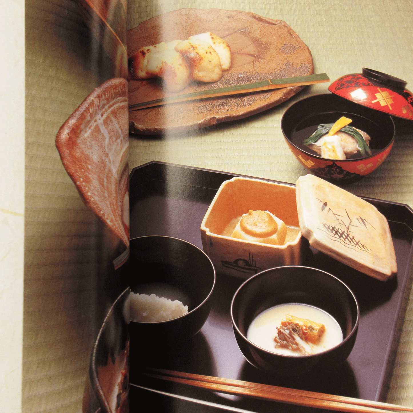 Tanko Special Issue 1996 November No.20 Chakaiseki