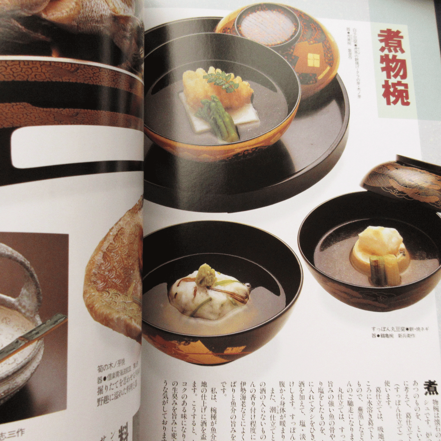 Tanko Special Issue 1996 November No.20 Chakaiseki