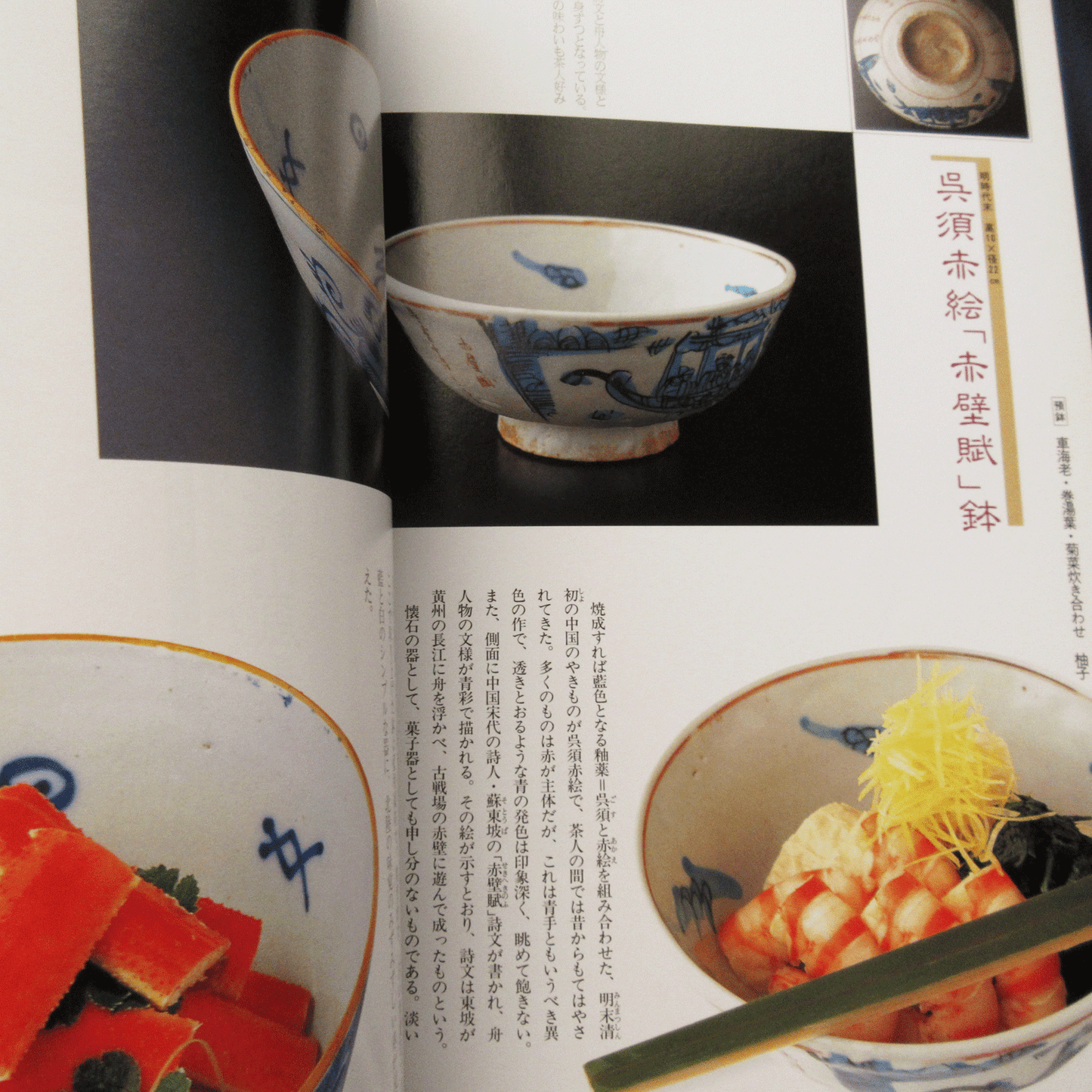 Tanko Special Issue 1996 November No.20 Chakaiseki
