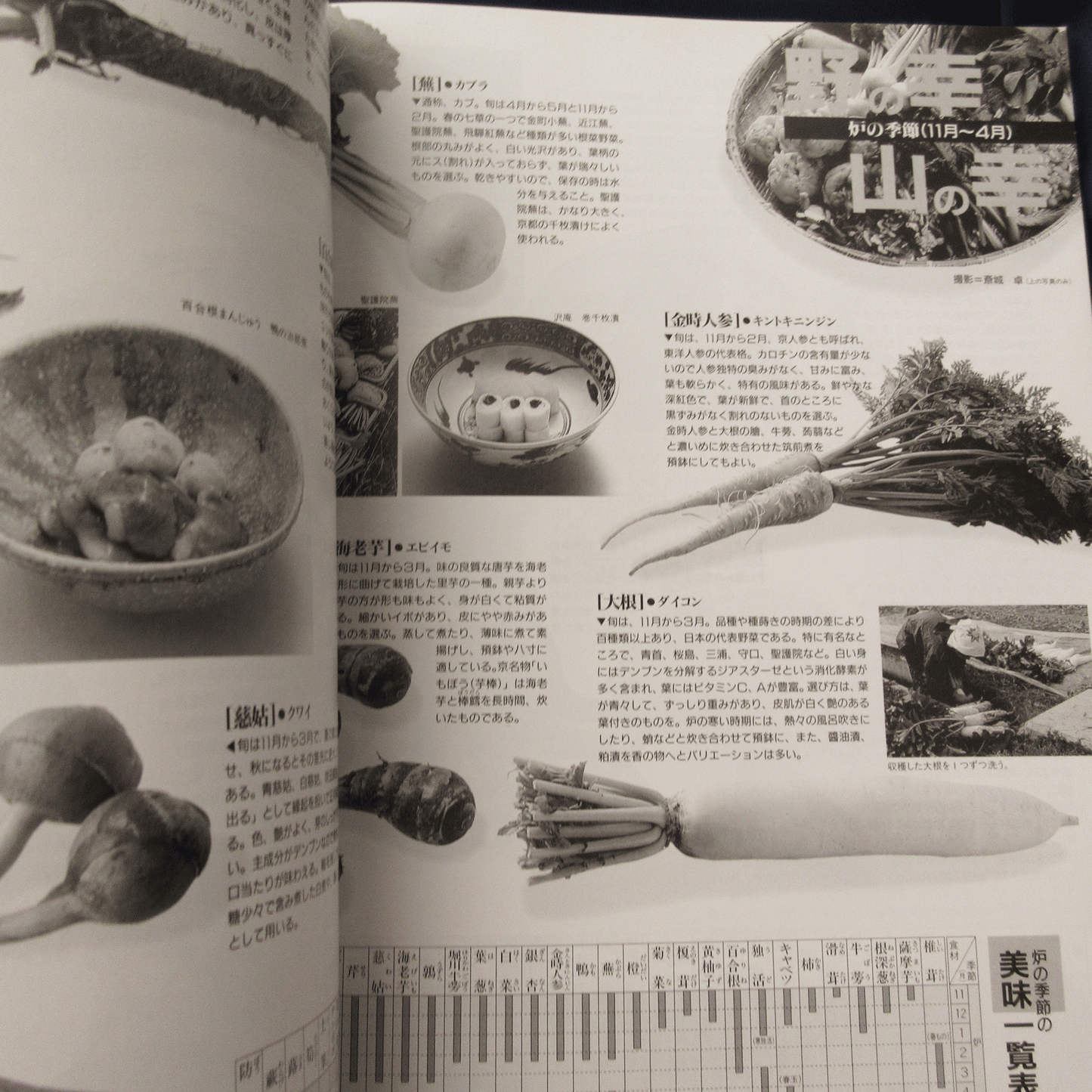 Tanko Special Issue 1996 November No.20 Chakaiseki