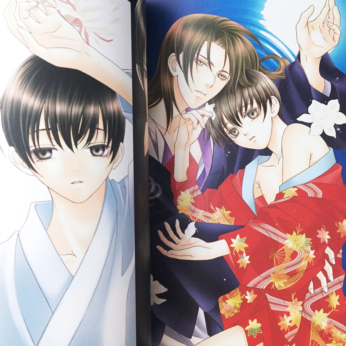 Itsuki Kaname Illustrations "Hyakka Soen"