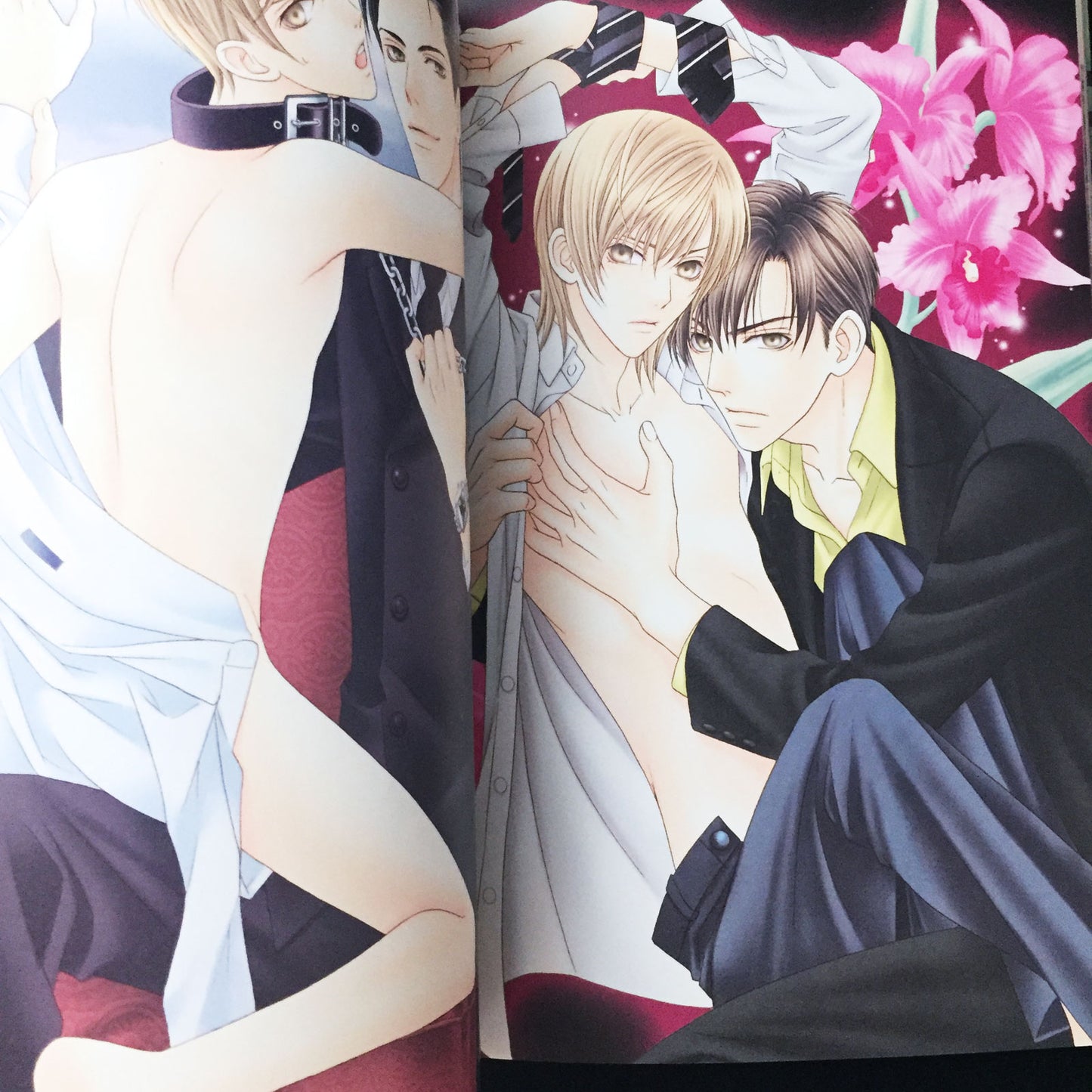 Itsuki Kaname Illustrations "Hyakka Soen"