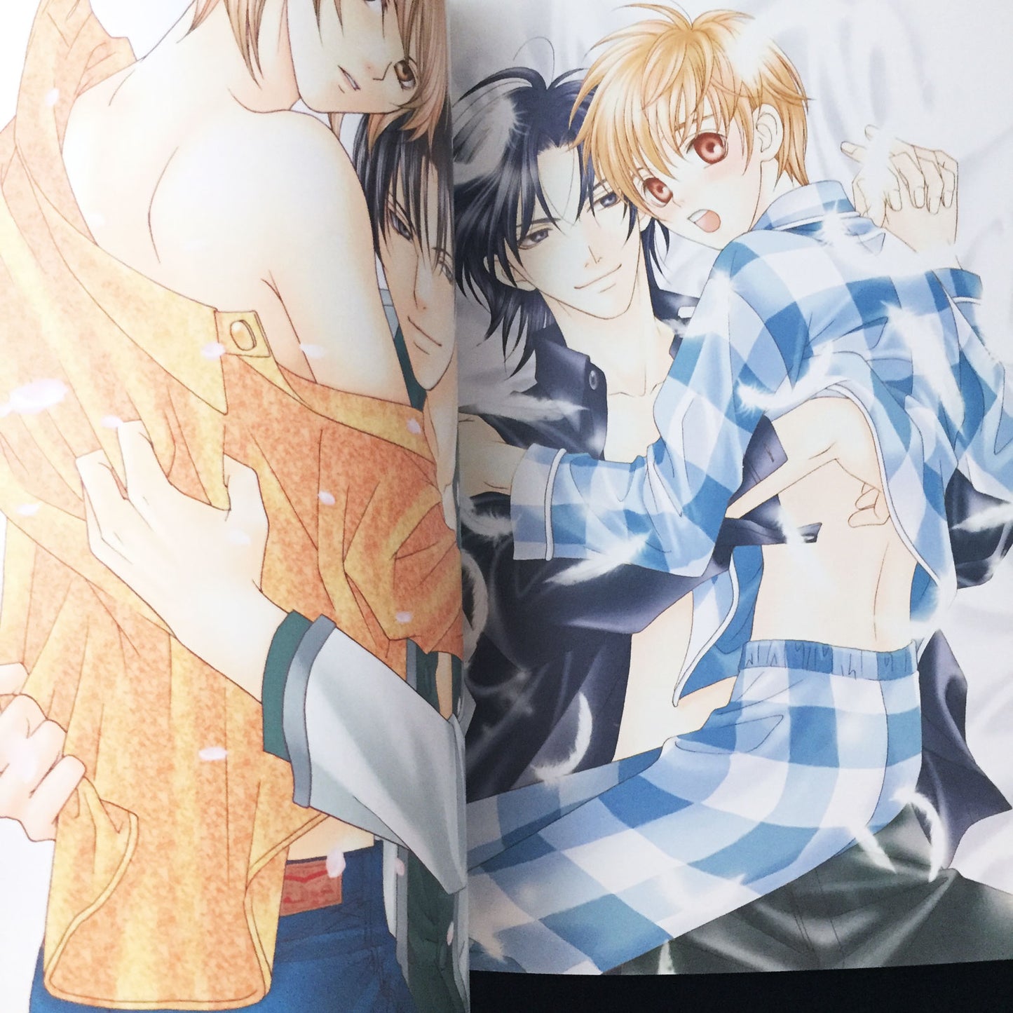Itsuki Kaname Illustrations "Hyakka Soen"