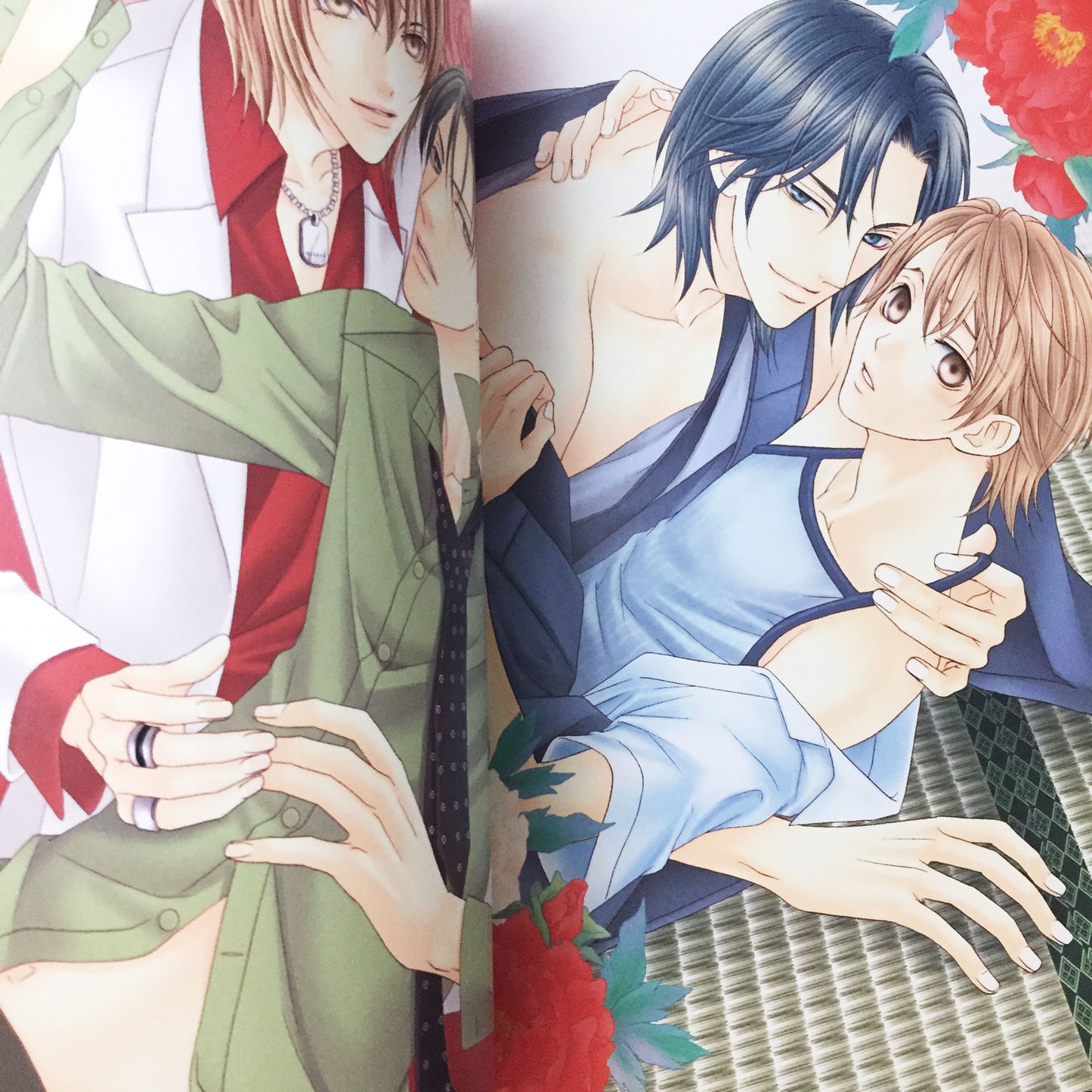 Itsuki Kaname Illustrations "Hyakka Soen"