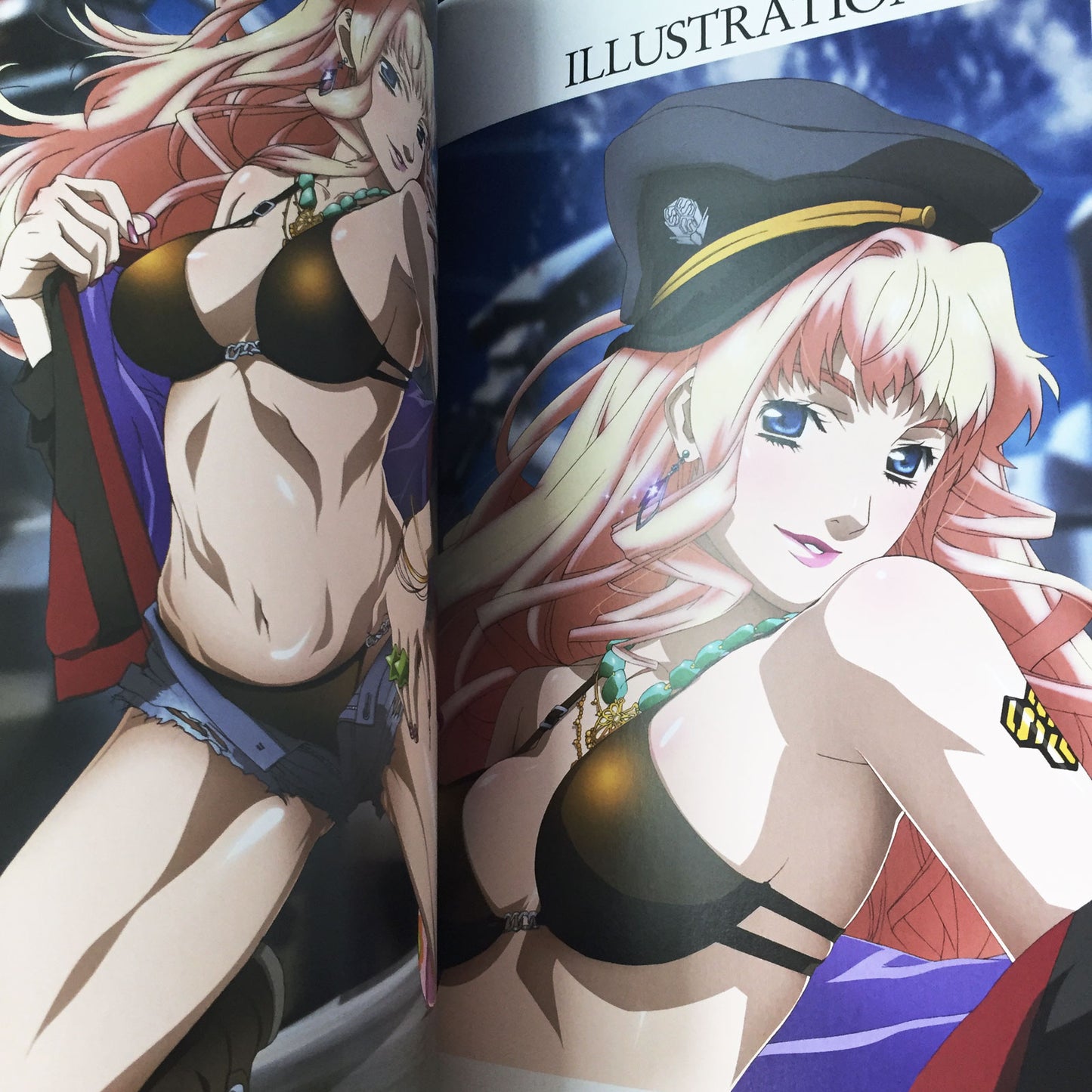 Macross Frontier Visual Collection Sheryl Nome