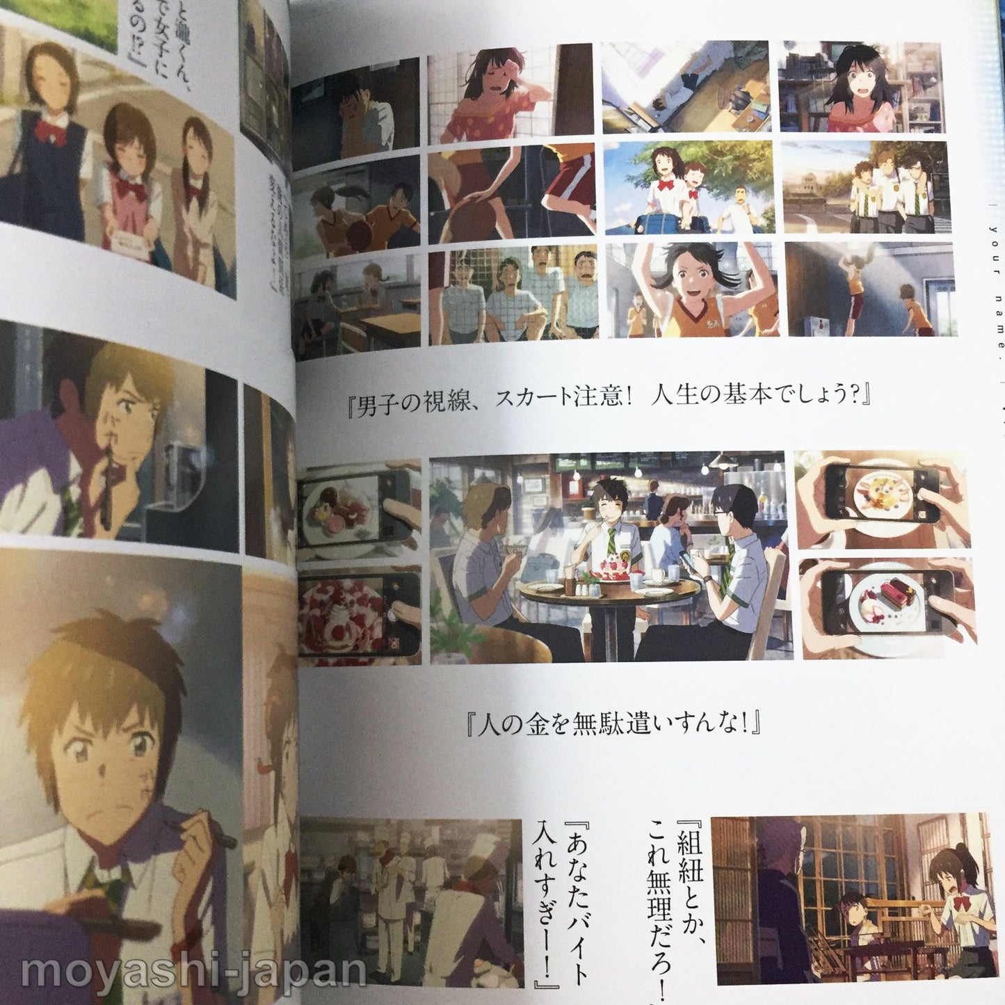 Kimi no Na wa (Your Name) Official Visual Guide