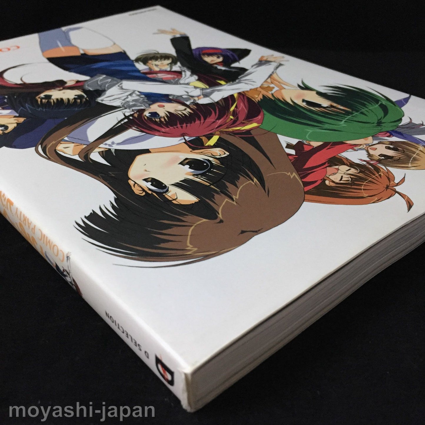 Comic Party Visual Fun Book