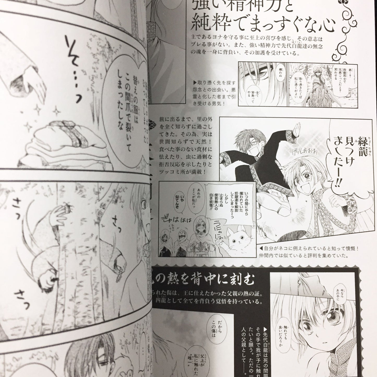 Yona of the dawn Official Fan Book