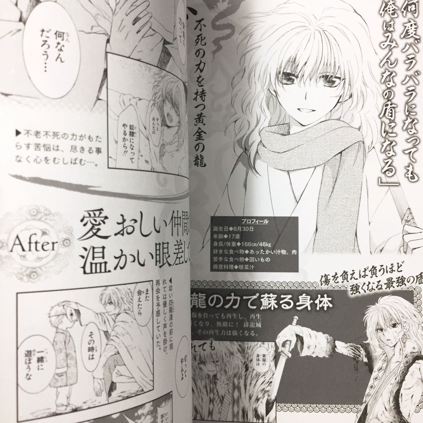 Yona of the dawn Official Fan Book