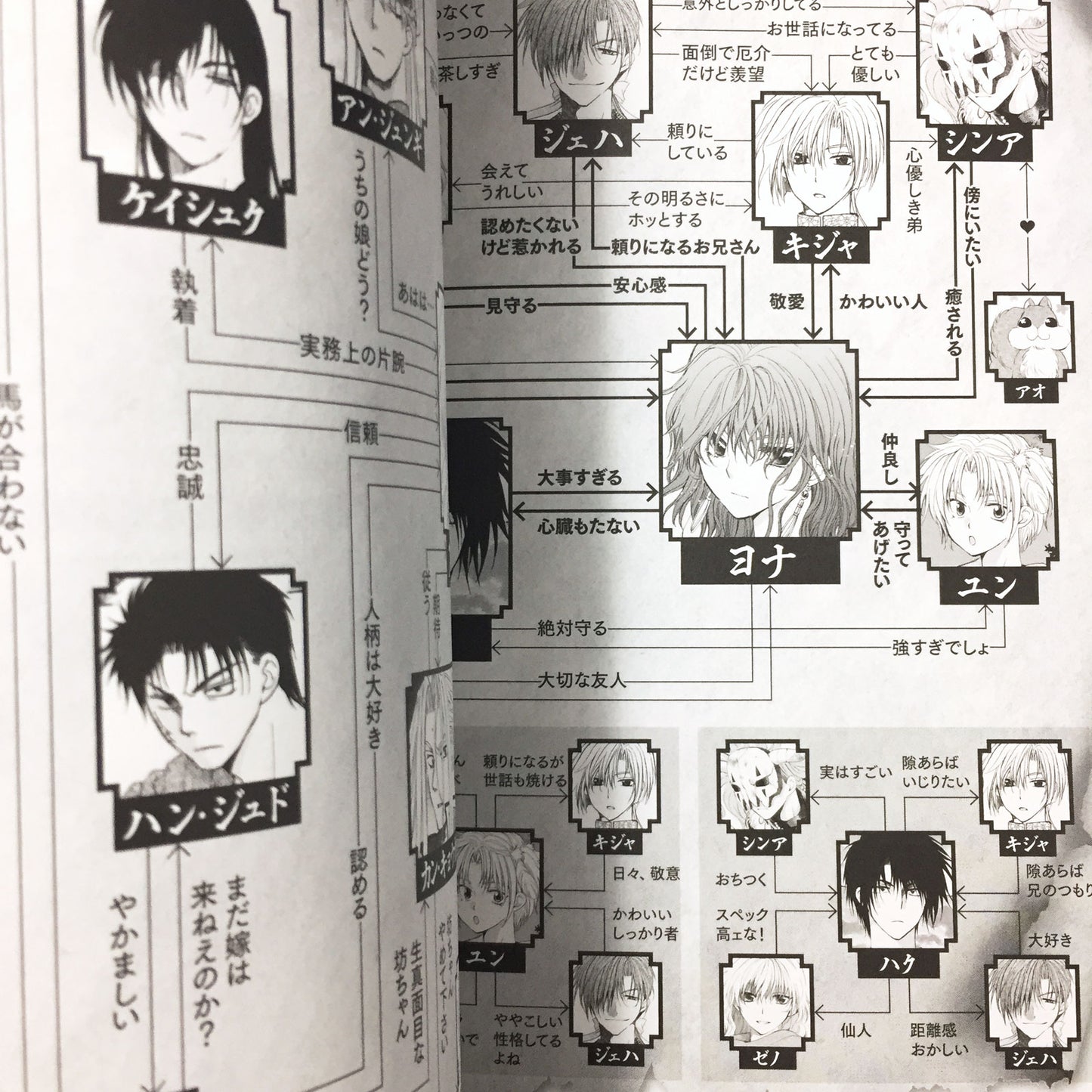 Yona of the dawn Official Fan Book