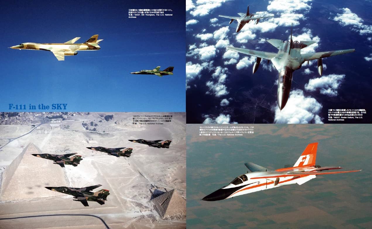 F-111 AARDVARK  Military Aircraft of the World