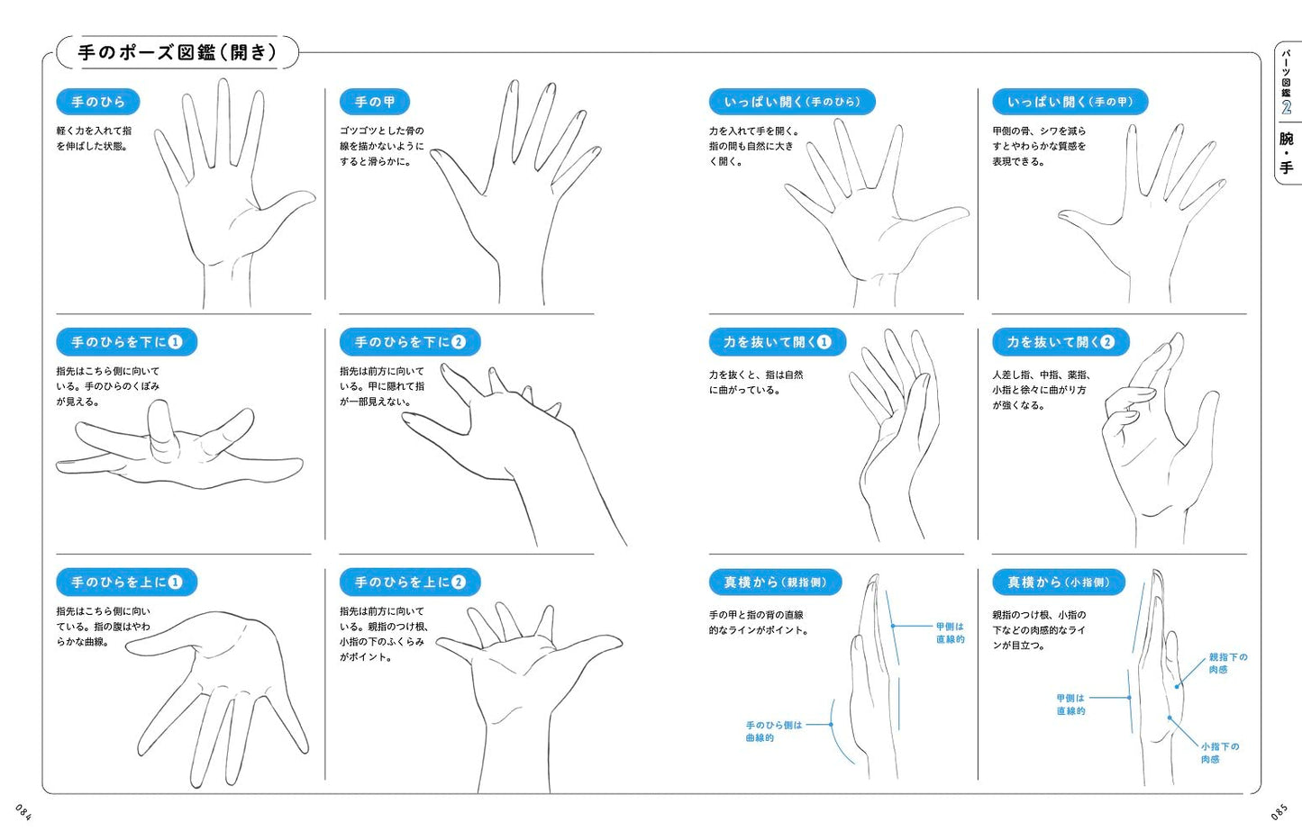 Useful for drawing! Girl Character Drawing/Parts Encyclopedia