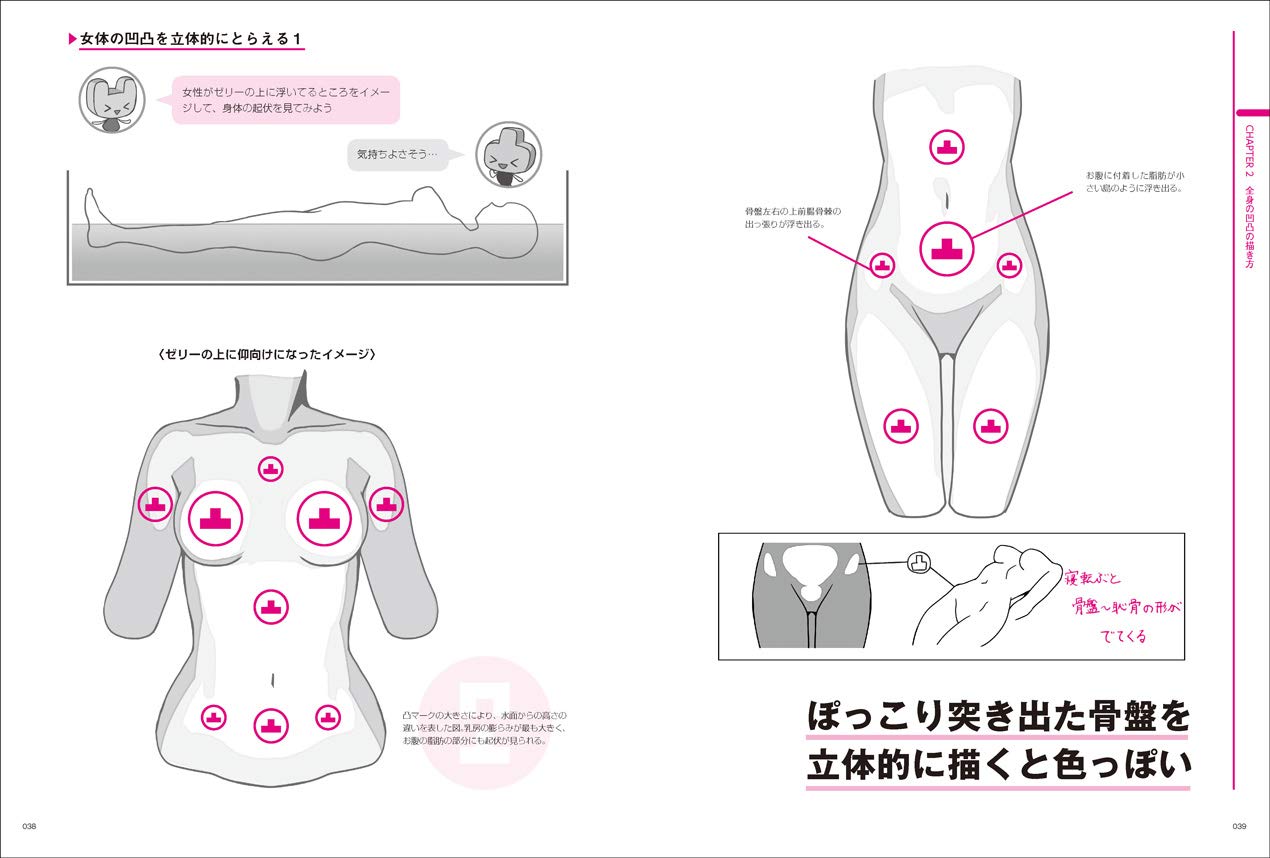 Encyclopedia of Female Character Body Curves
