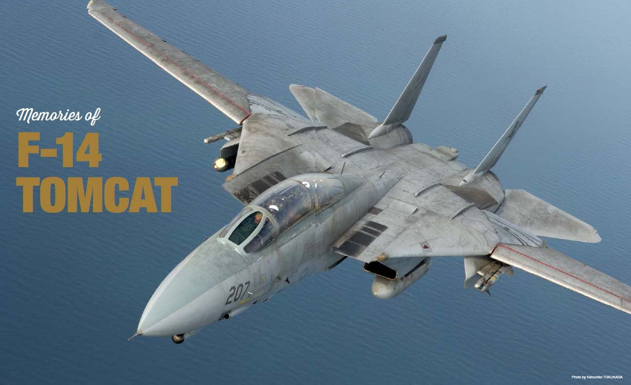 F-14 TOMCAT Military Aircraft of the World