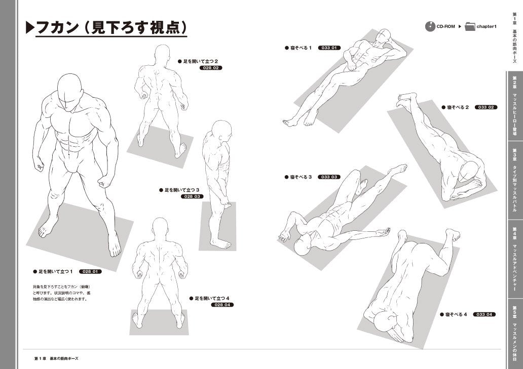 500 Ready-to-Use Muscle Poses w/CD-ROM